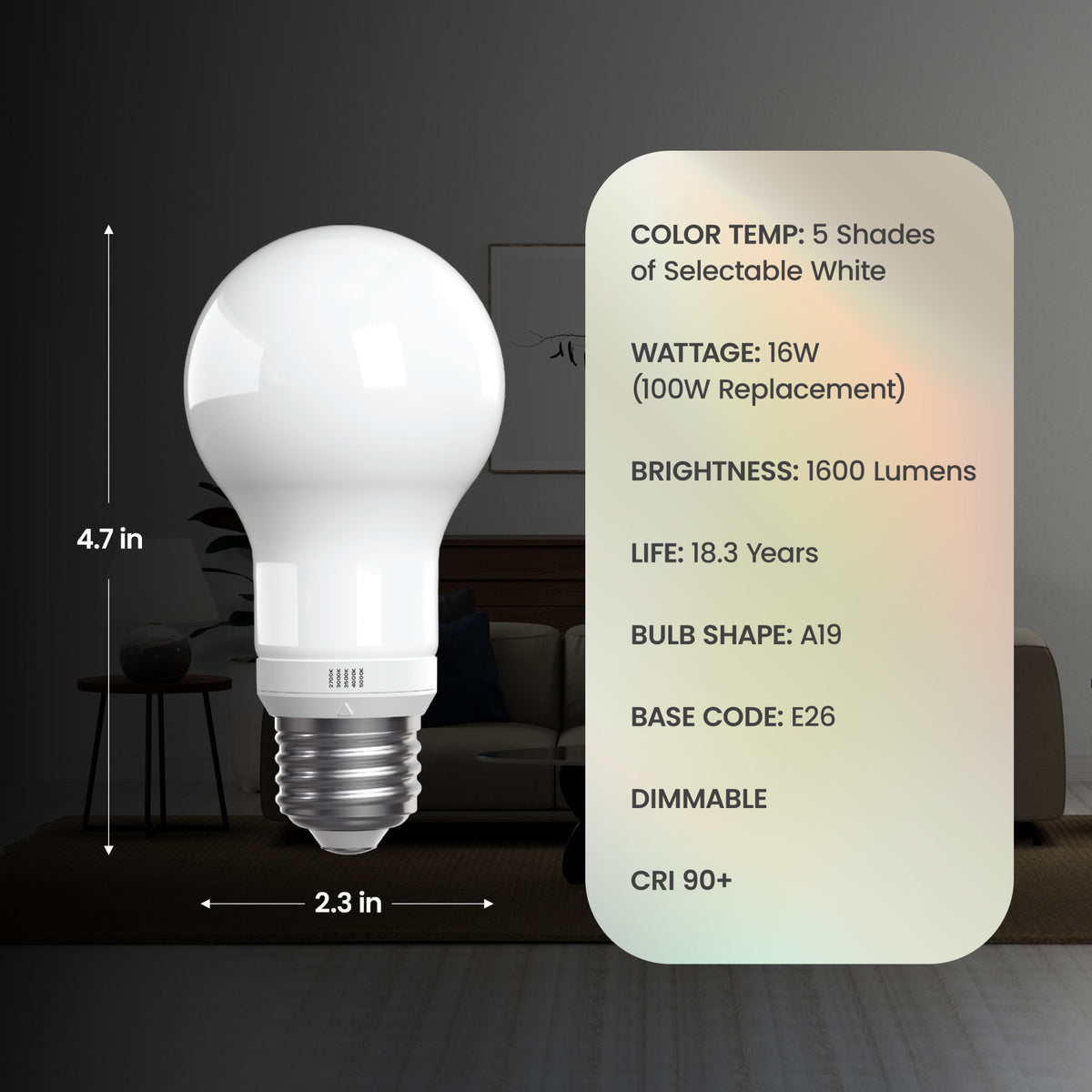 16W (100W Replacement) Twist to Select E26 Base A19 Frost Glass LED Bulb (2-Pack)