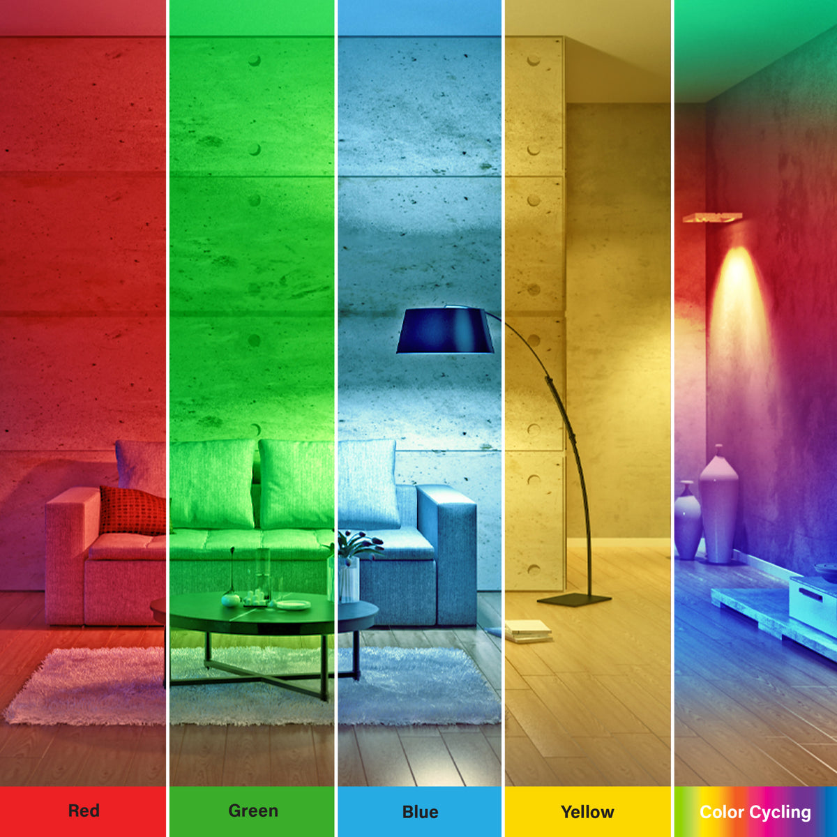 Color Changing A19 Party Bulb