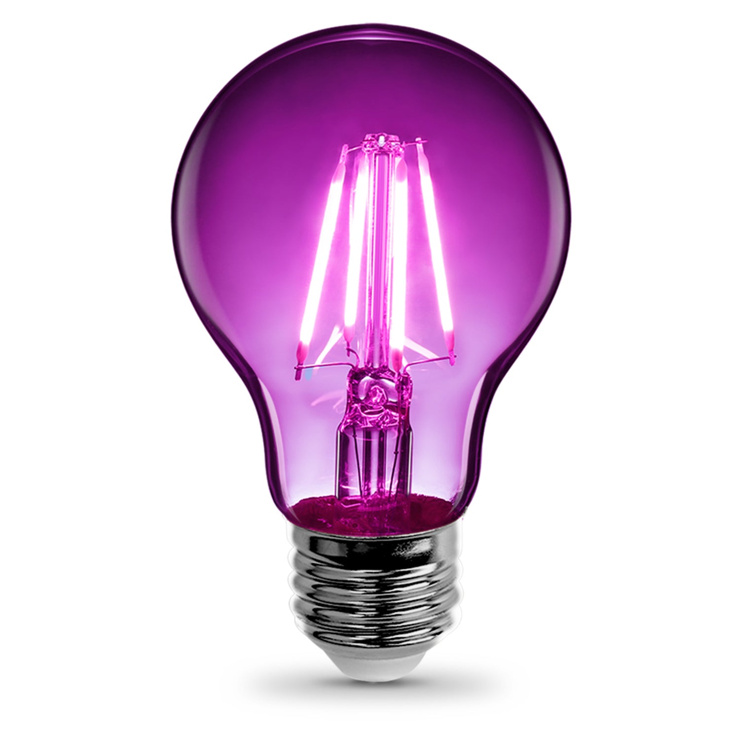 Clear Glass Purple A19 Dimmable LED Filament Light Bulb
