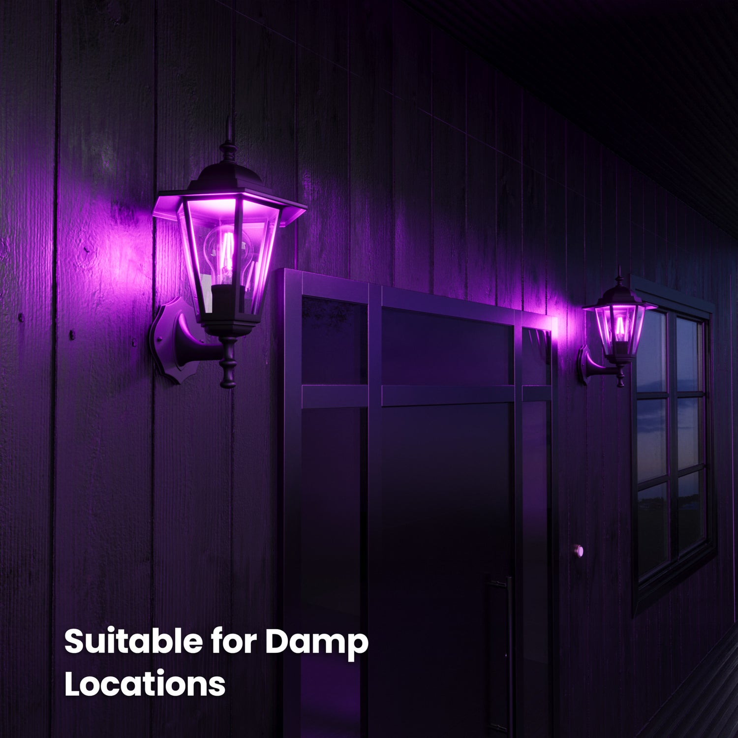Clear Glass Purple A19 Dimmable LED Filament Light Bulb