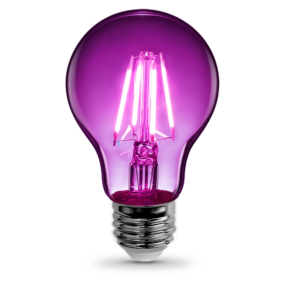 Clear Glass Purple A19 Dimmable LED Filament Light Bulb
