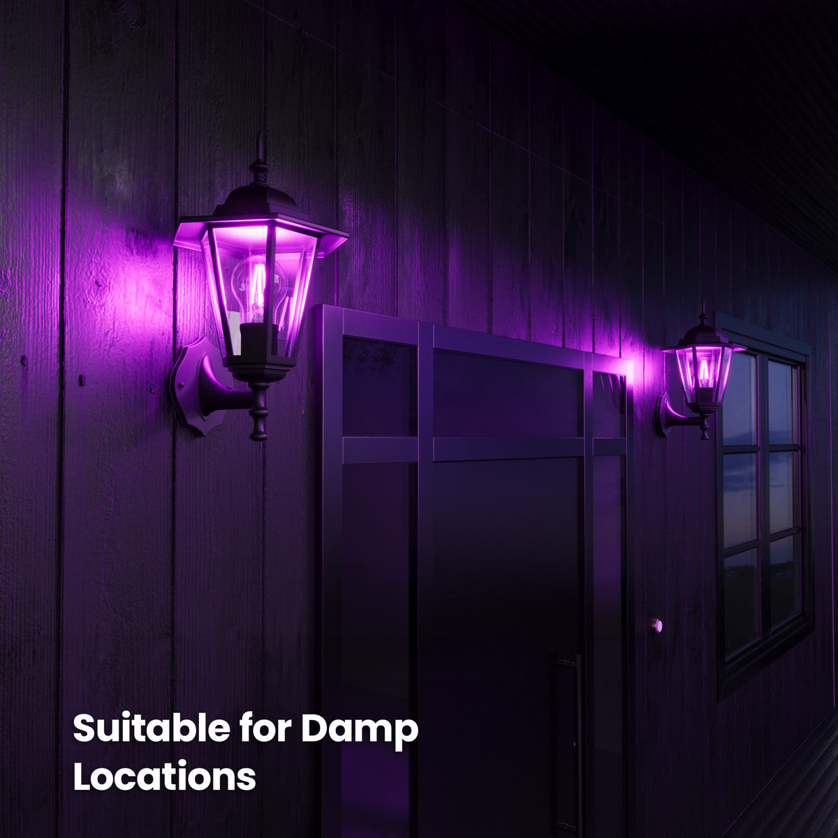 A19 Purple Filament LED Filament Light Bulb