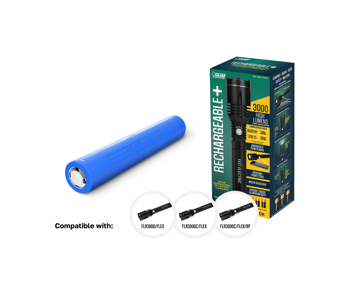 Batteries - Feit Electric