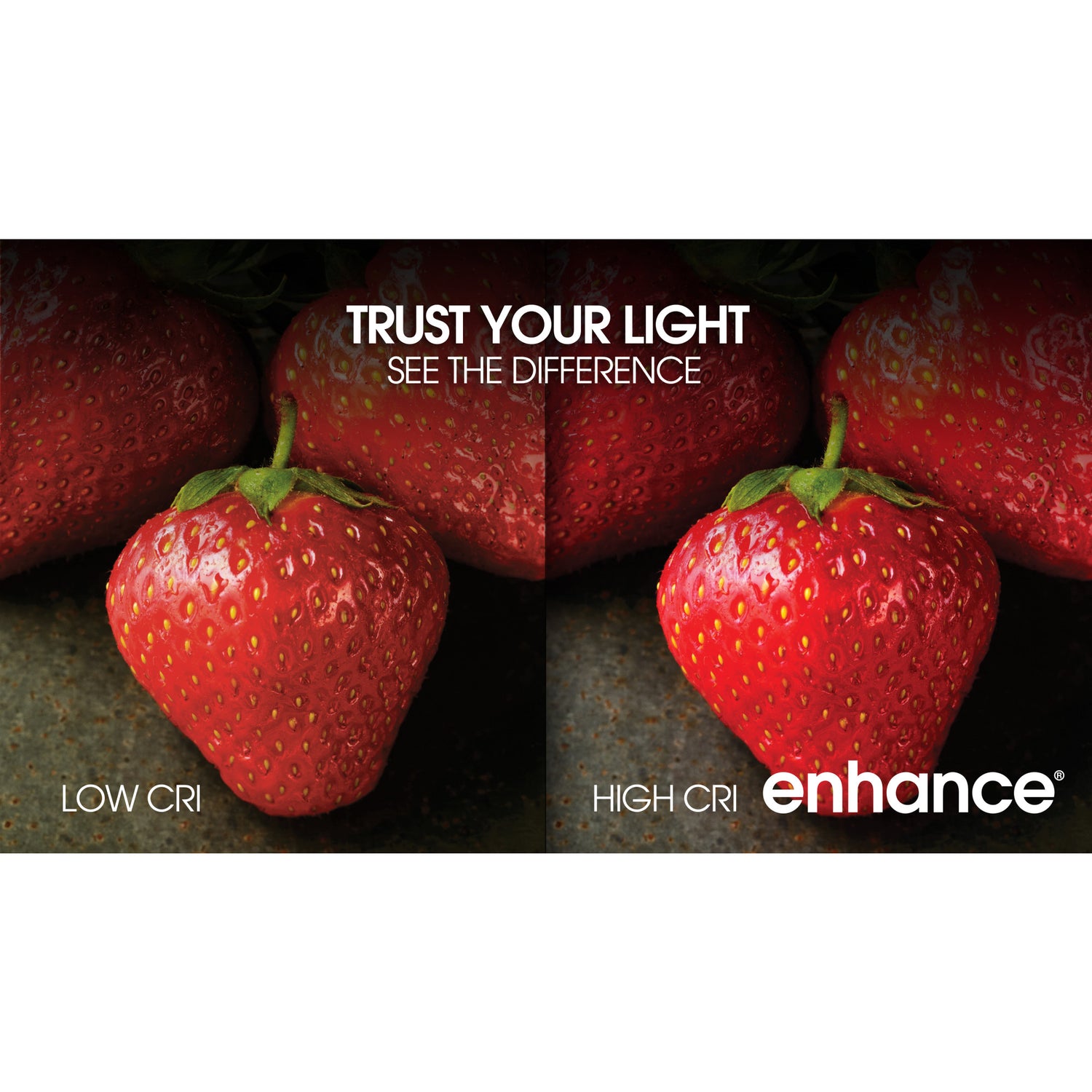 5.5W (60W Replacement) Bright White (3000K) G16 1/2 Filament LED Bulb (2-Pack)