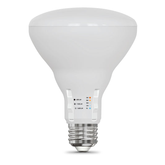 All-in-One Adjustable Brightness Adjustable White BR30 LED Bulb (2-Pack)