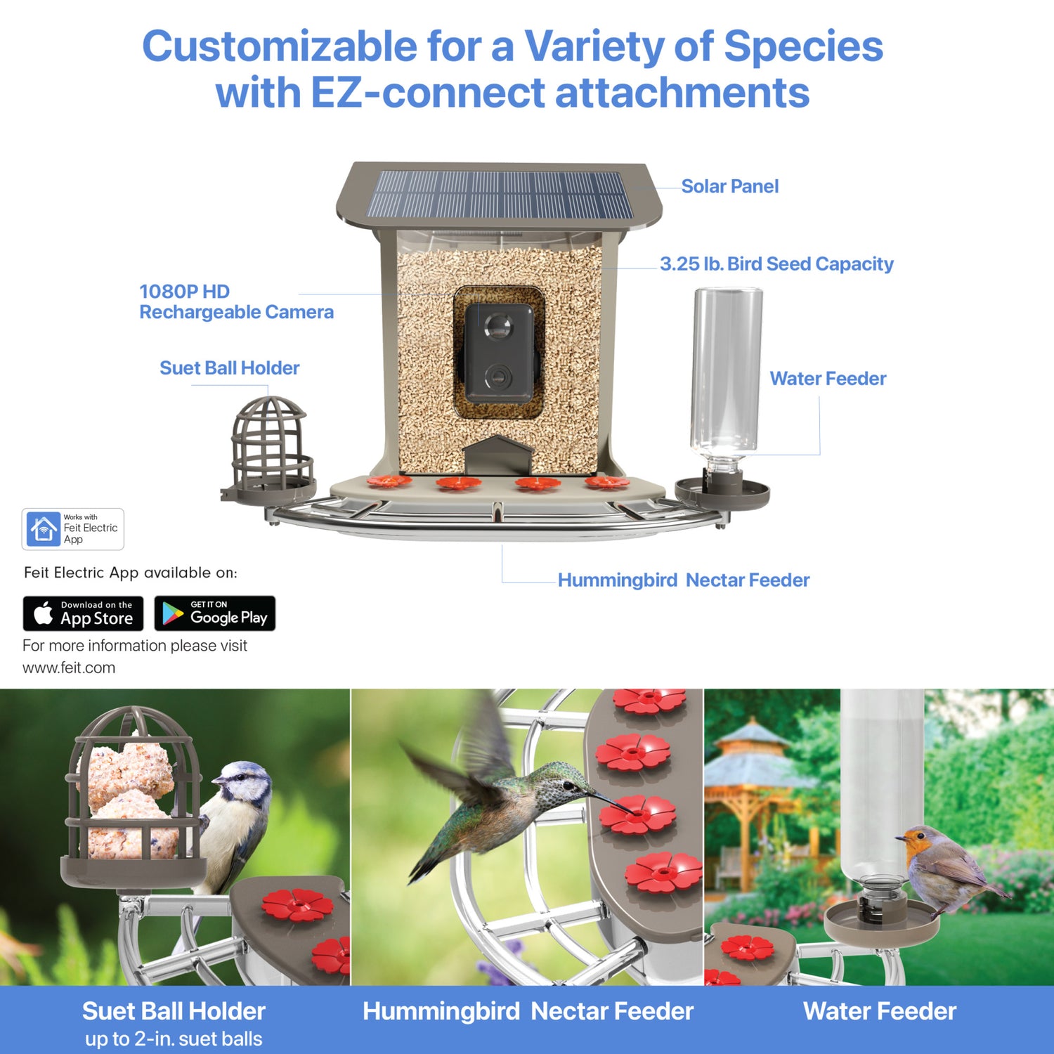 2.5L Smart Solar Camera Bird Feeder