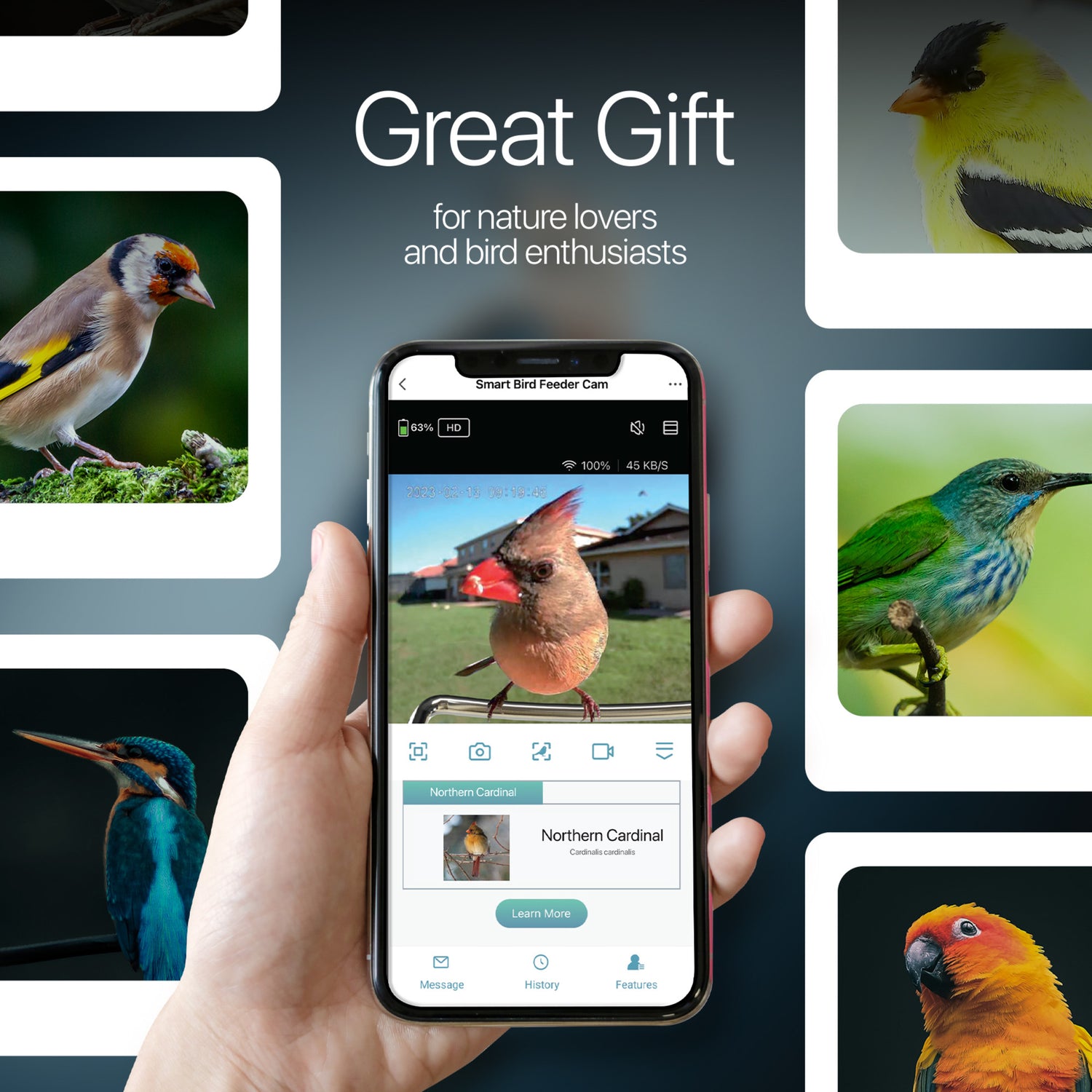 2.5L Smart Solar Camera Bird Feeder