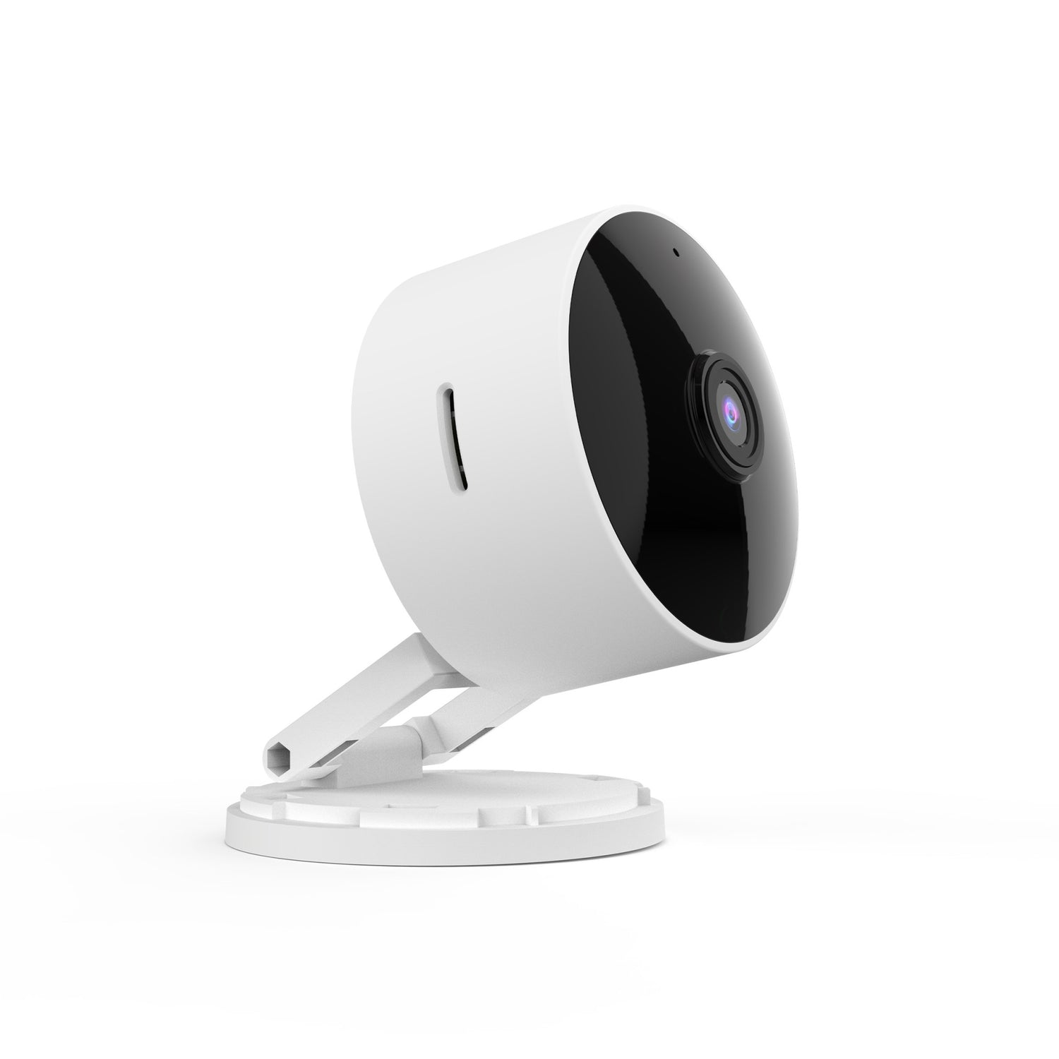 Indoor Smart AI Camera