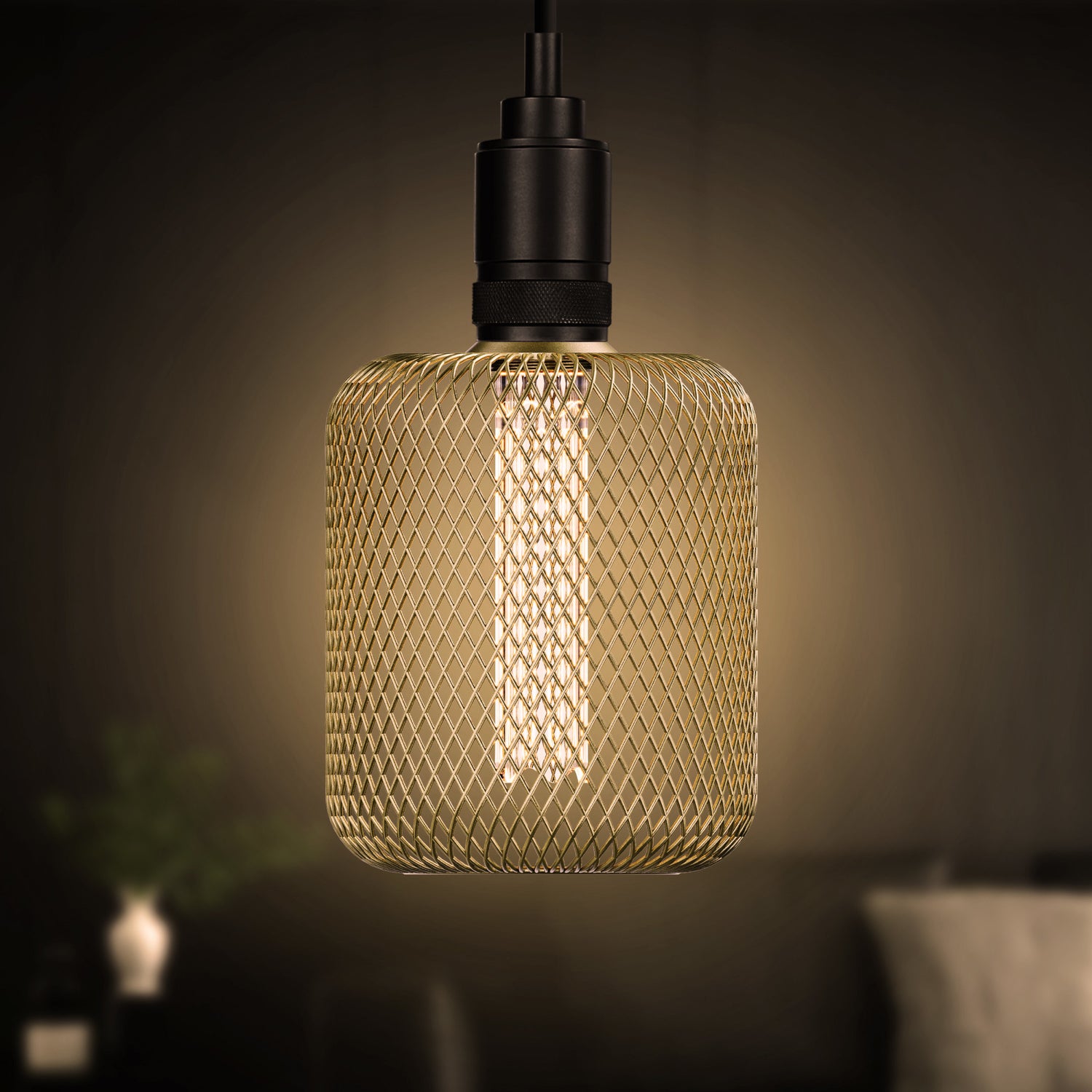 3.5W Soft White (2700K) Large Gold Mesh Cage Acrylic LED Bulb