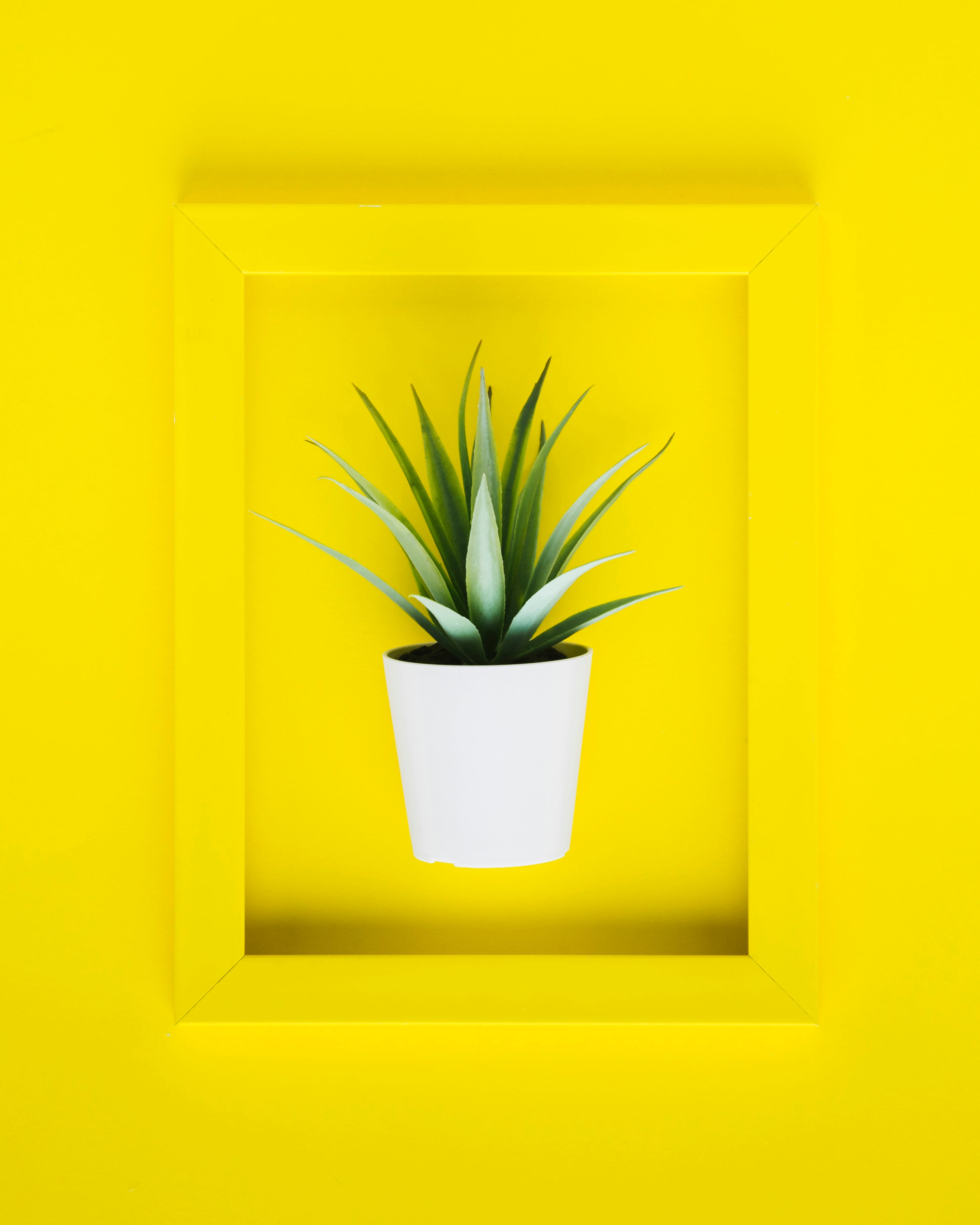 Understanding CRI Made Simple