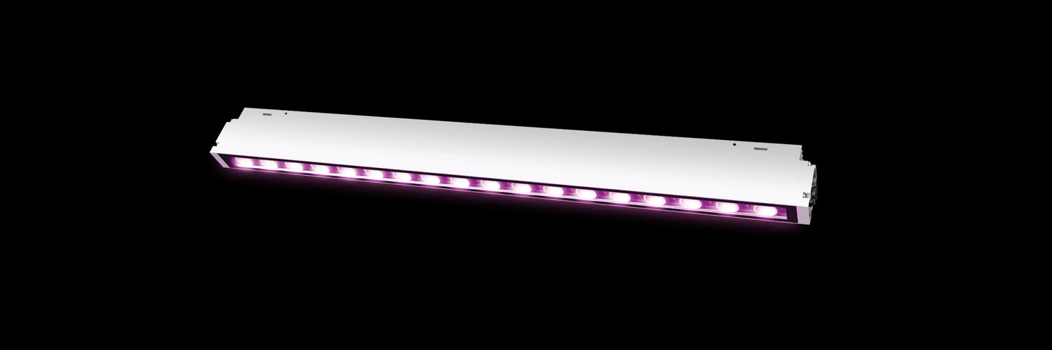 Hydroponic Grow Lights