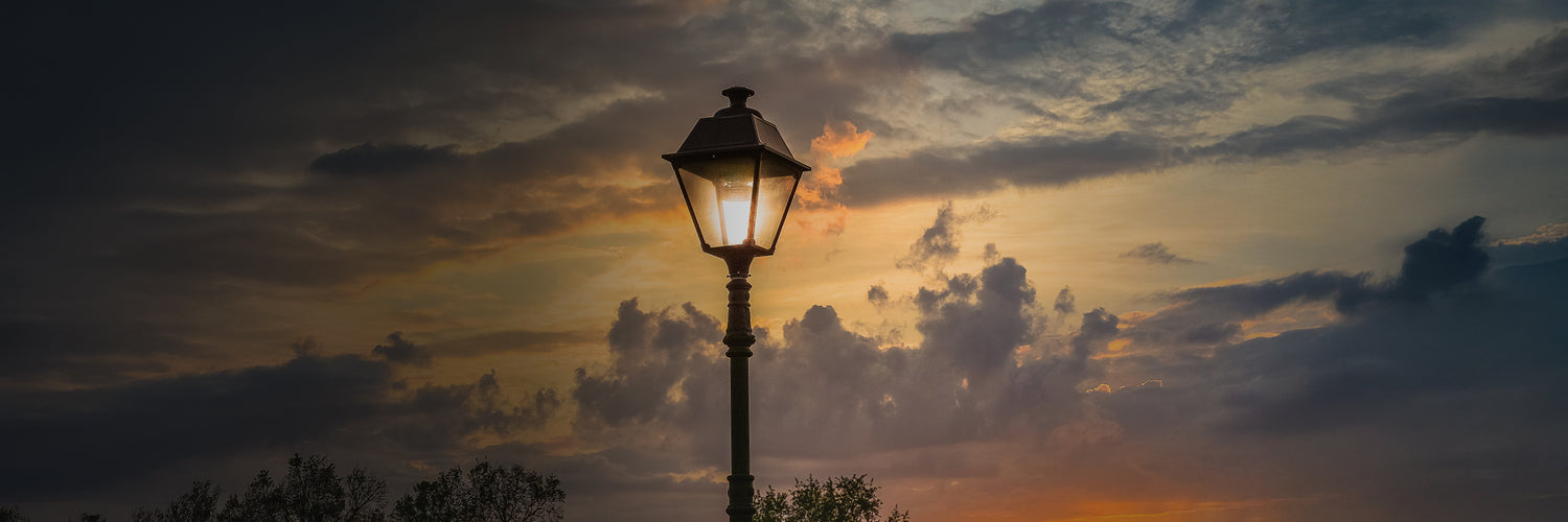Lantern Light Bulbs