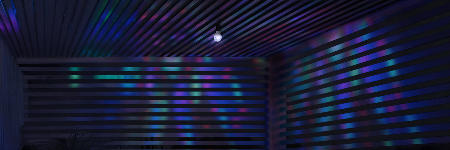 Party Light Bulbs