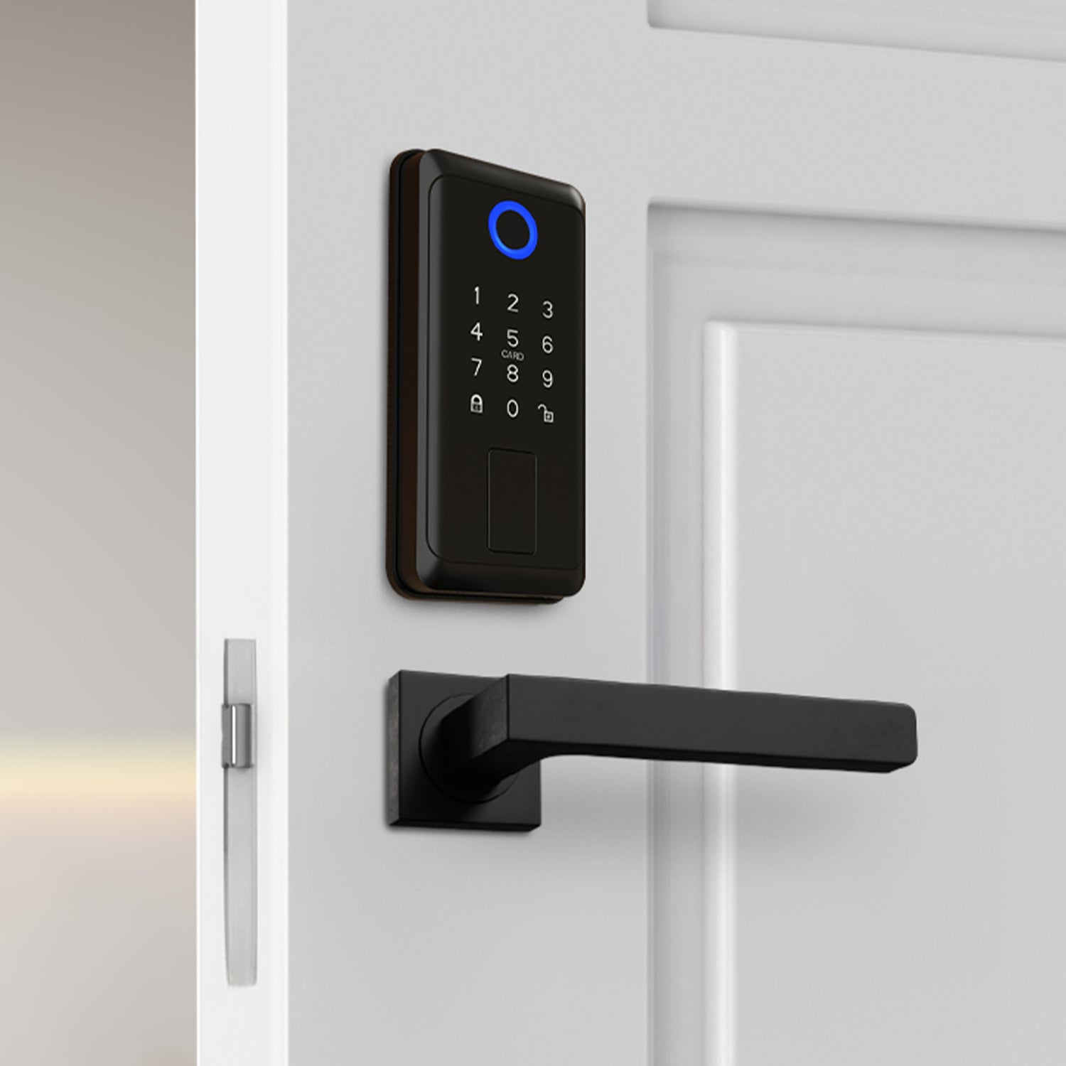Smart Touch + Keycard Door Lock, Matte Black