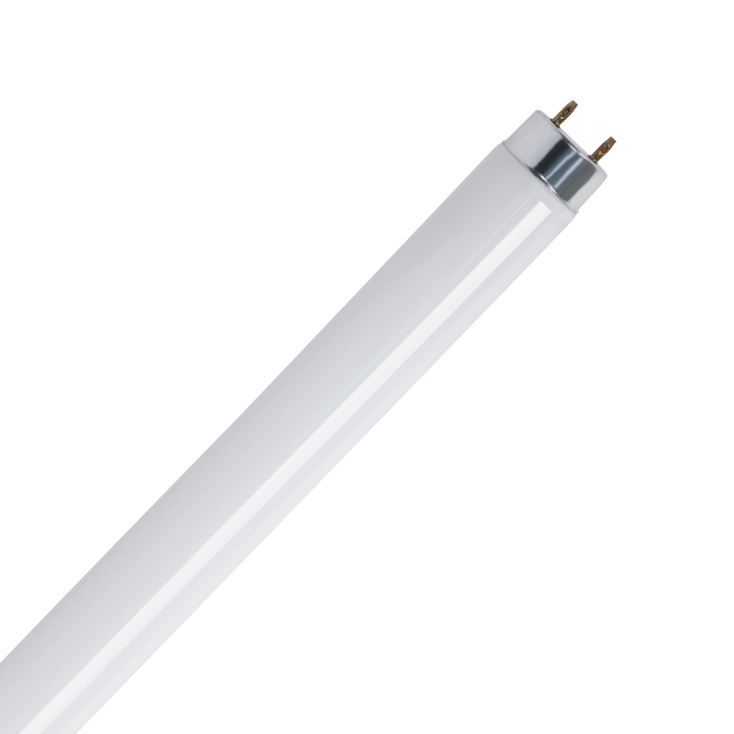 18 in. 15W Cool White (4100K) G13 Base (T8 Replacement) Fluorescent Linear Light Tube