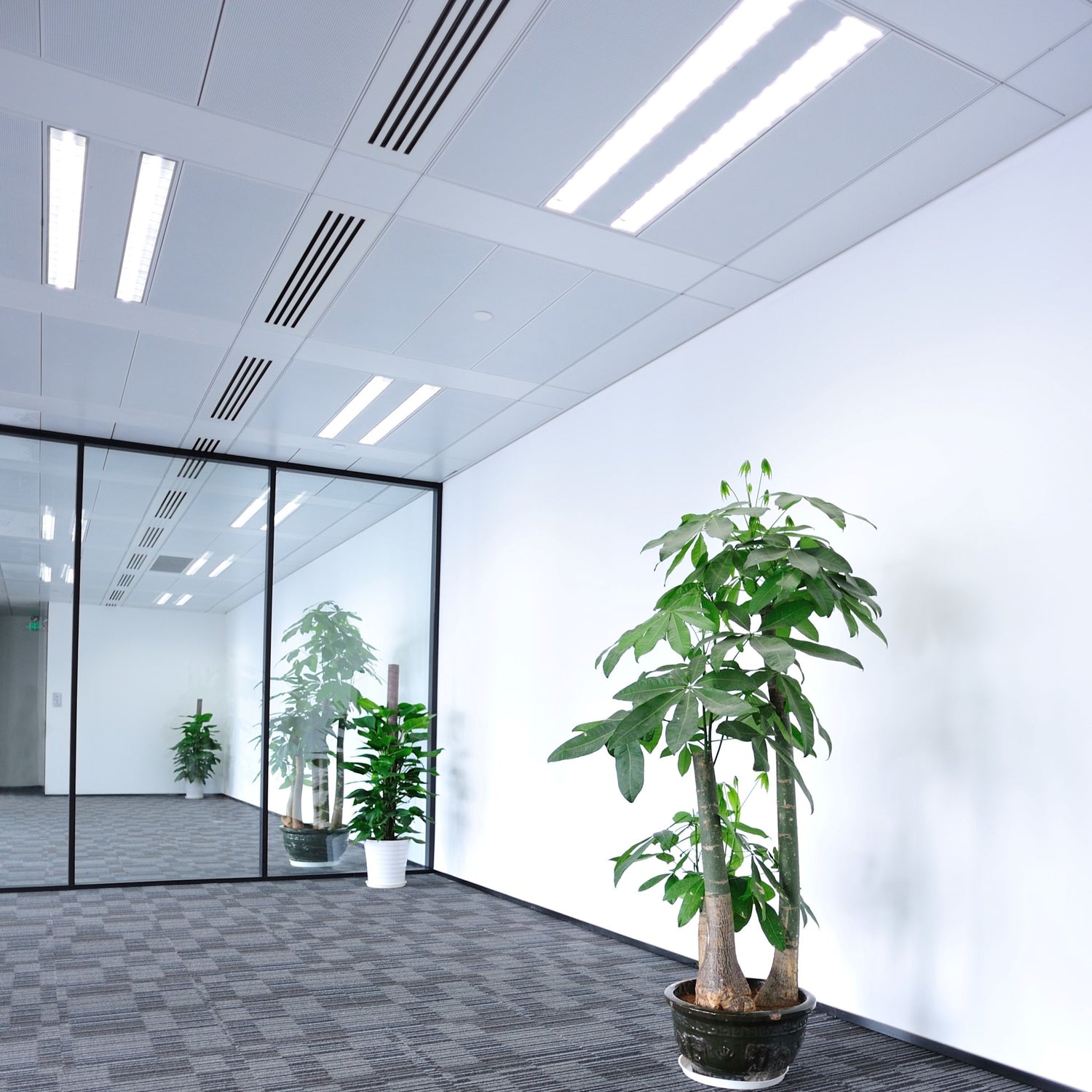 3 ft. 30W Cool White (4100K) G13 Base (T12 Replacement) Fluorescent Linear Light Tube (2-Pack)