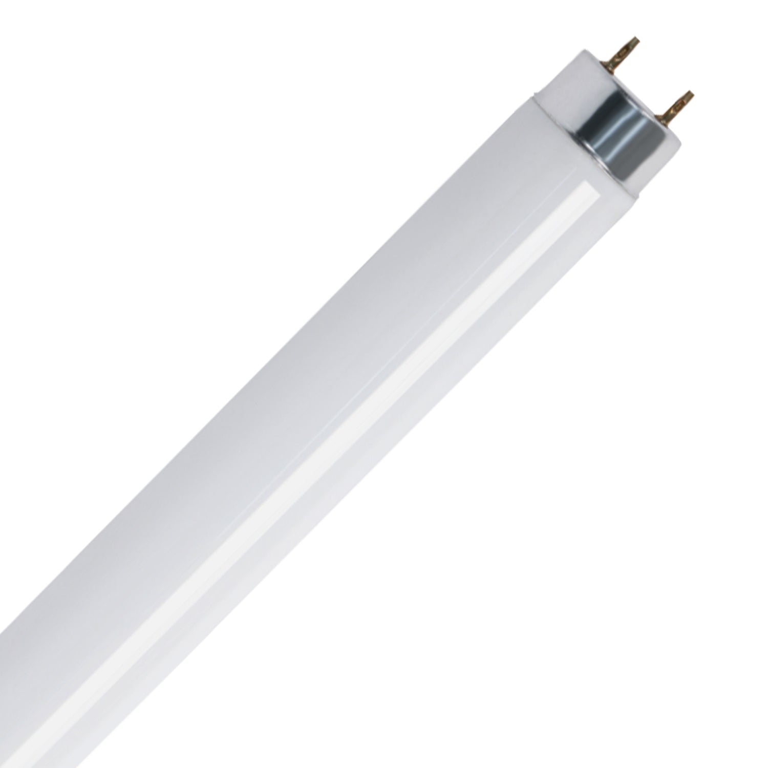 4 ft. 32W Cool White G13 Base (T8 Replacement) Fluorescent Linear Light Tube (2-Pack)