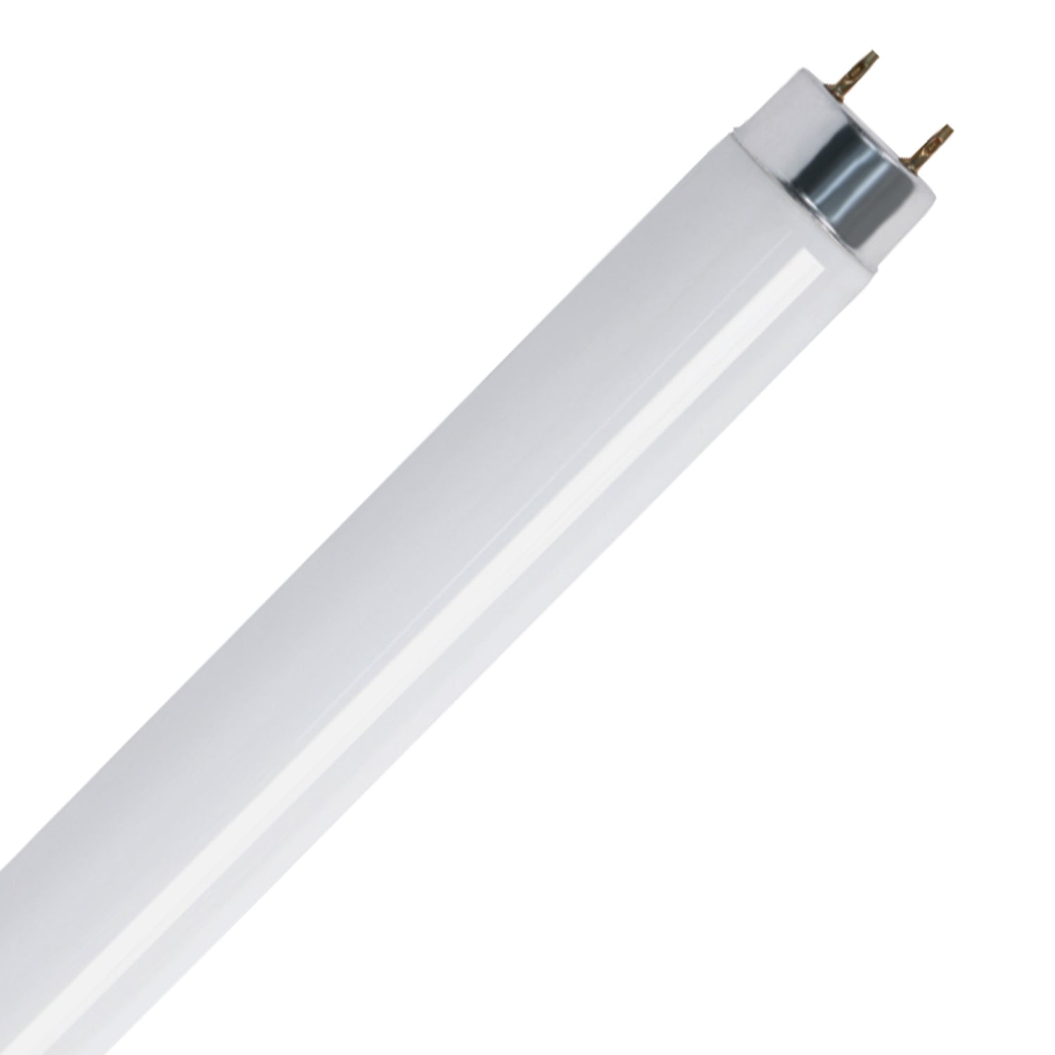 4 ft. 32W Daylight Deluxe (6500K) G13 Base (T8 Replacement) Fluorescent Linear Light Tube (2-Pack)