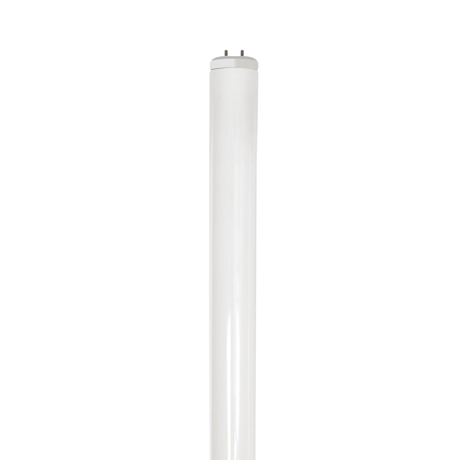 4 ft. 32W Bright White (3000K) T8 G13 Base High Output Fluorescent Linear Tube (2-Pack)