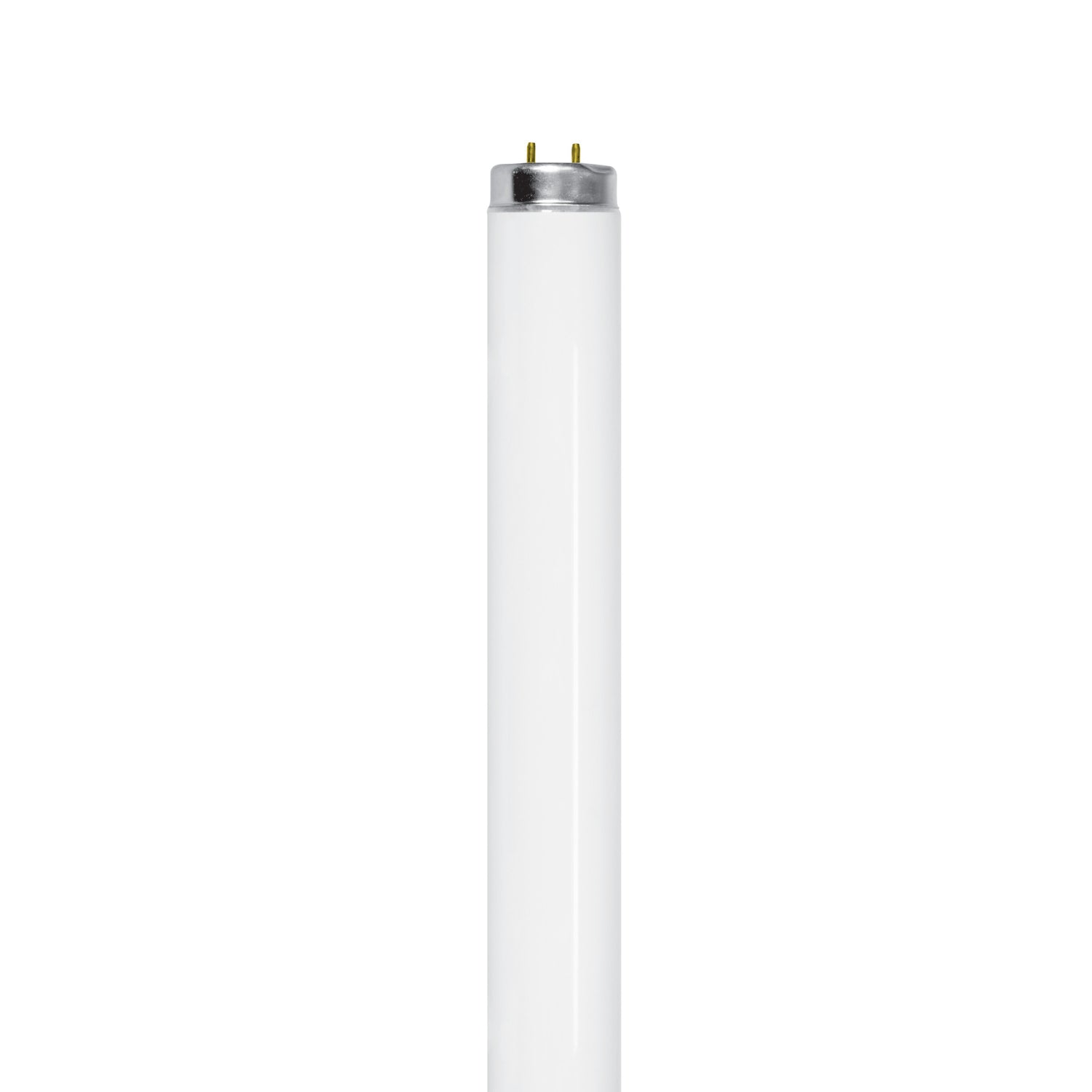 4 ft. 40W Cool White (4100K) G13 Base (T12 Replacement) Fluorescent Linear Light Tube (10-Pack)