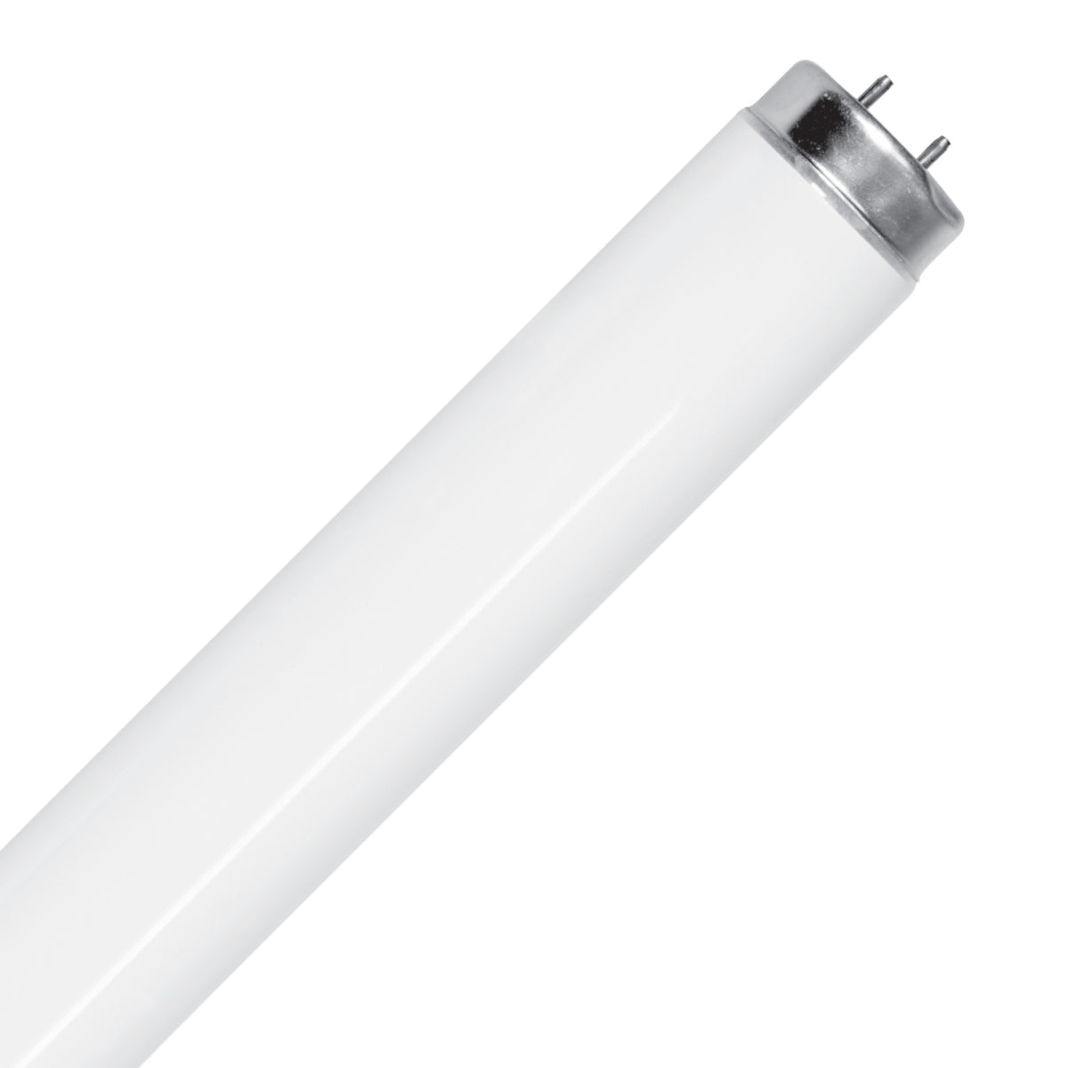 4 ft. 40W Cool White (4100K) G13 Base (T12 Replacement) Fluorescent Linear Light Tube (2-Pack)