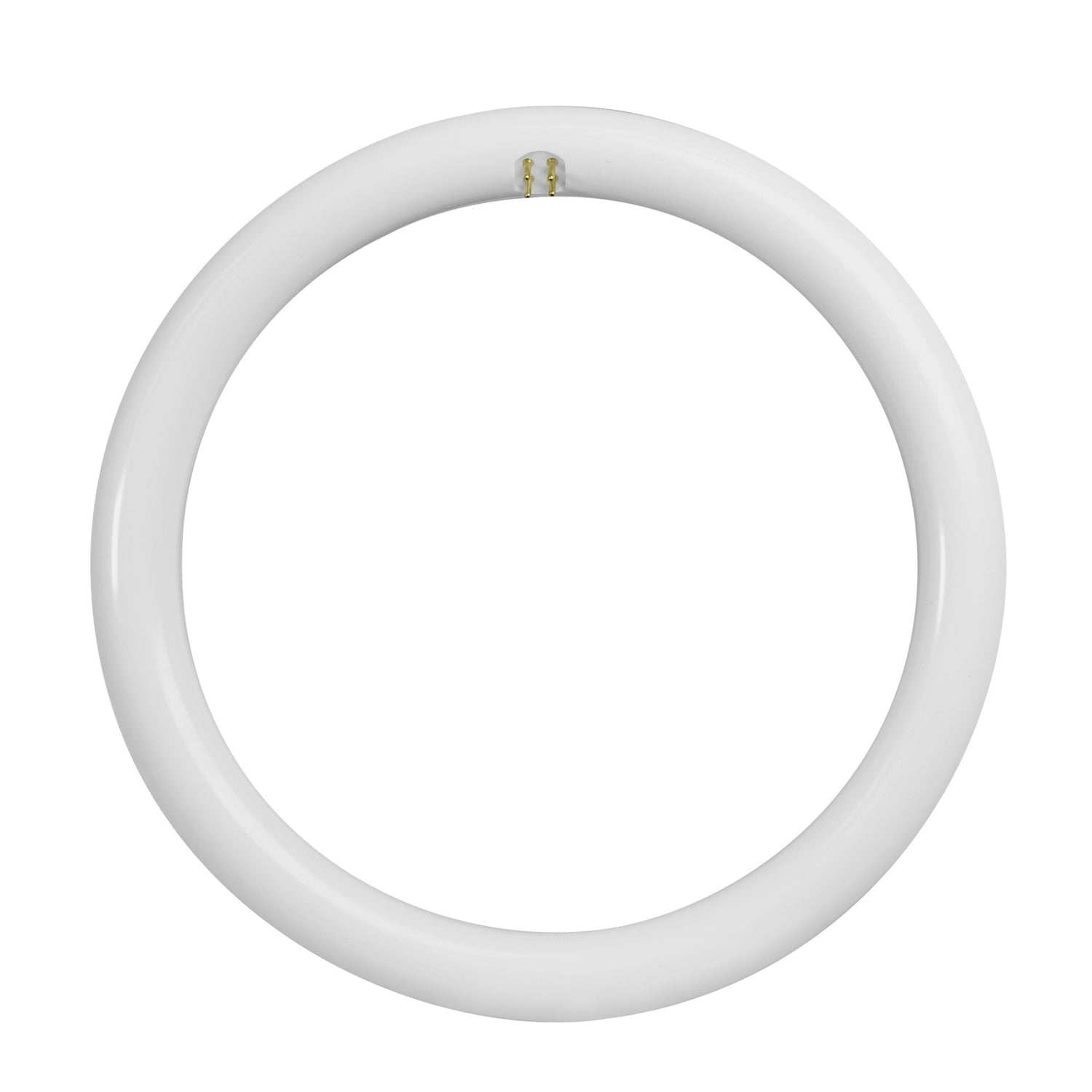 12 in. 20W (32W Replacement) Daylight Deluxe (6500K) G10Q (T9 Replacement) Direct Replacement (Type A) Non-Dimmable Circline LED Light Tube