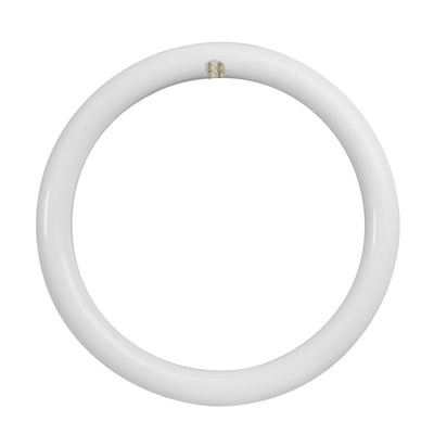 12 in. 20W (32W Replacement) Daylight Deluxe (6500K) G10Q (T9 Replacement) Direct Replacement (Type A) Non-Dimmable Circline LED Light Tube