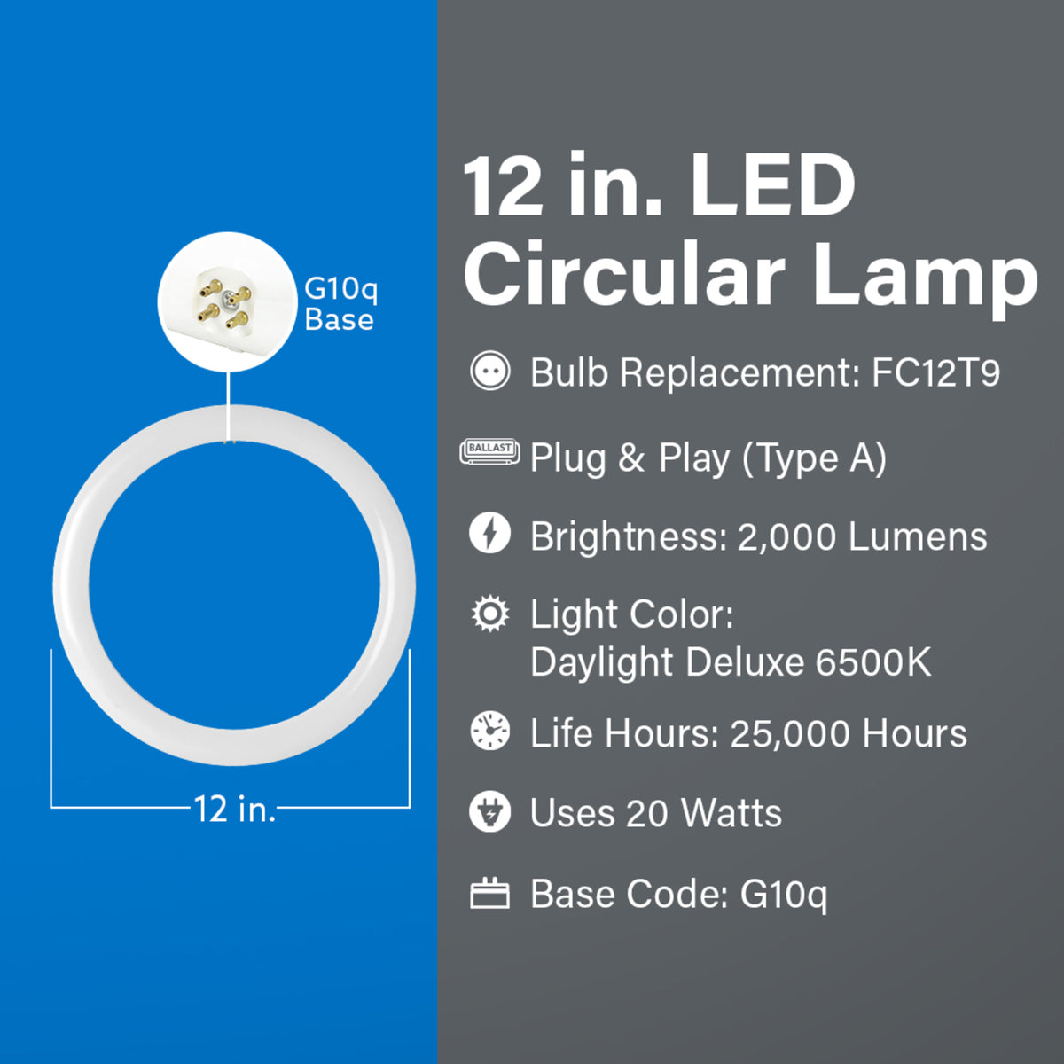 12 in. 20W (32W Replacement) Daylight Deluxe (6500K) G10Q (T9 Replacement) Direct Replacement (Type A) Non-Dimmable Circline LED Light Tube