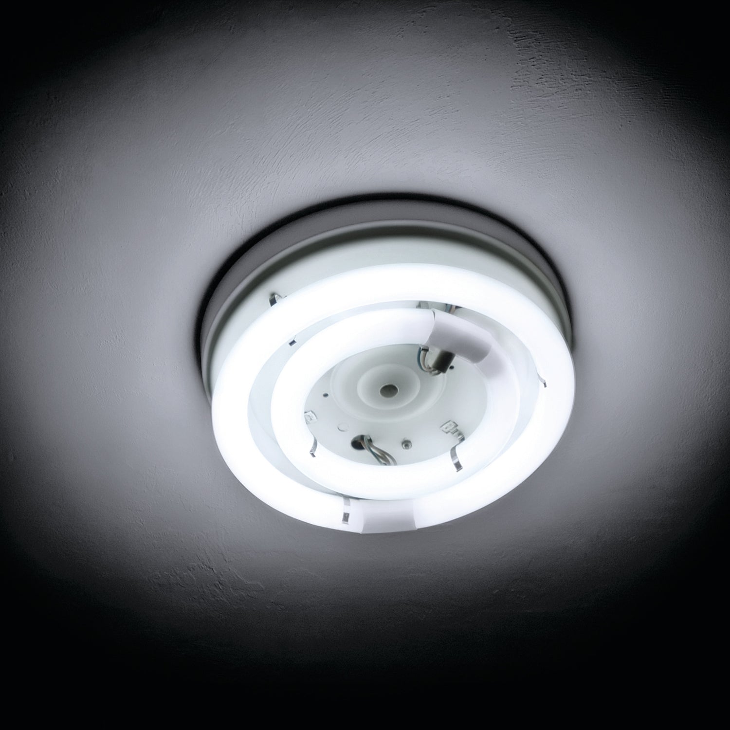 12 in. 32W Cool White (4100K) 4-Pin (T9 Replacement) Fluorescent Circular Light Tube