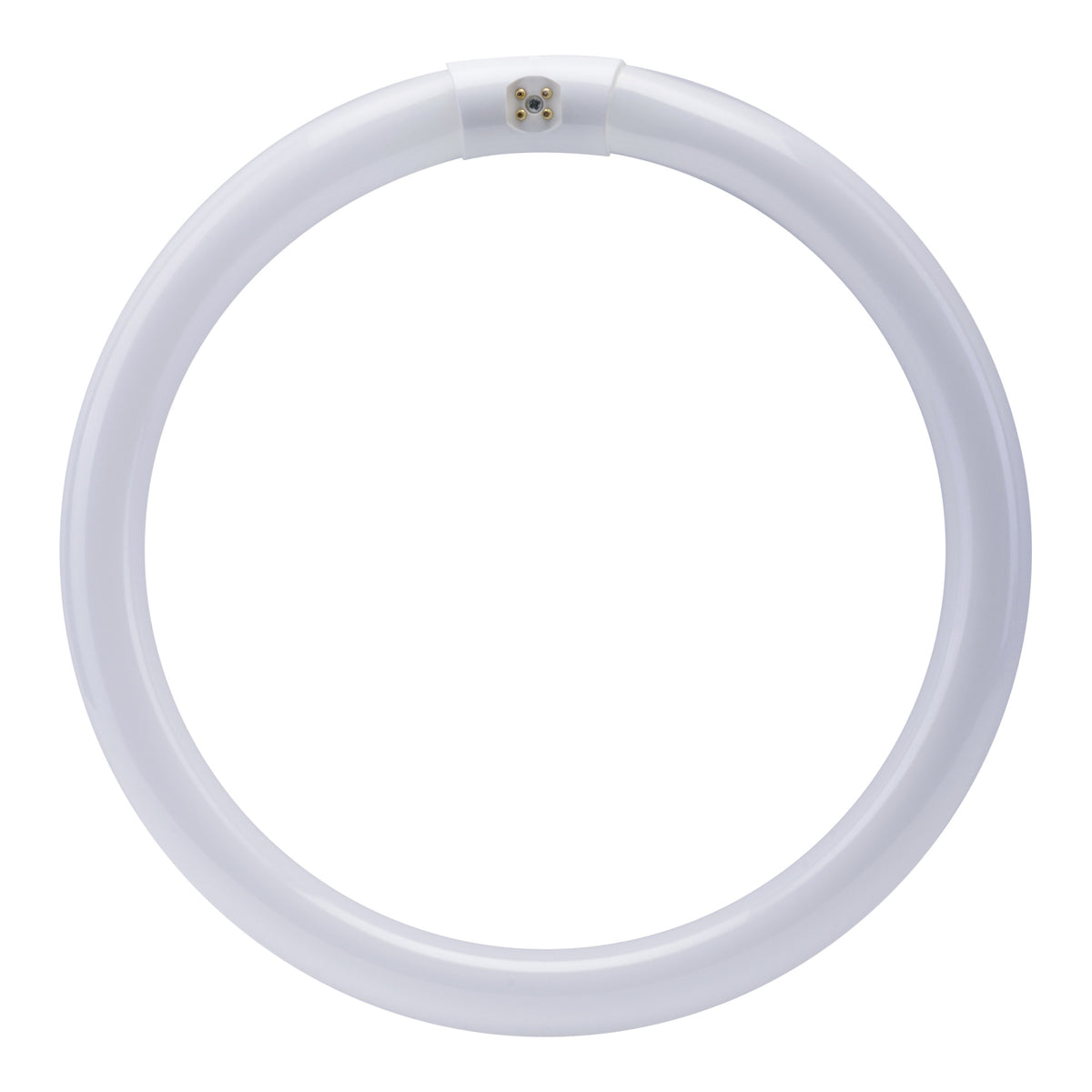 12 in. 32W Cool White (4100K) 4-Pin (T9 Replacement) Fluorescent Circular Light Tube