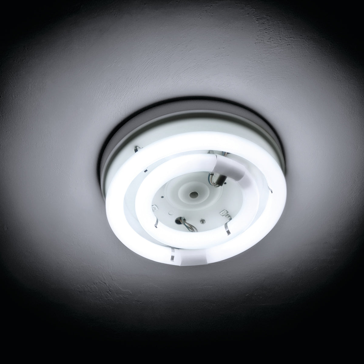 12 in. 32W Cool White (4100K) 4-Pin (T9 Replacement) Fluorescent Circular Light Tube