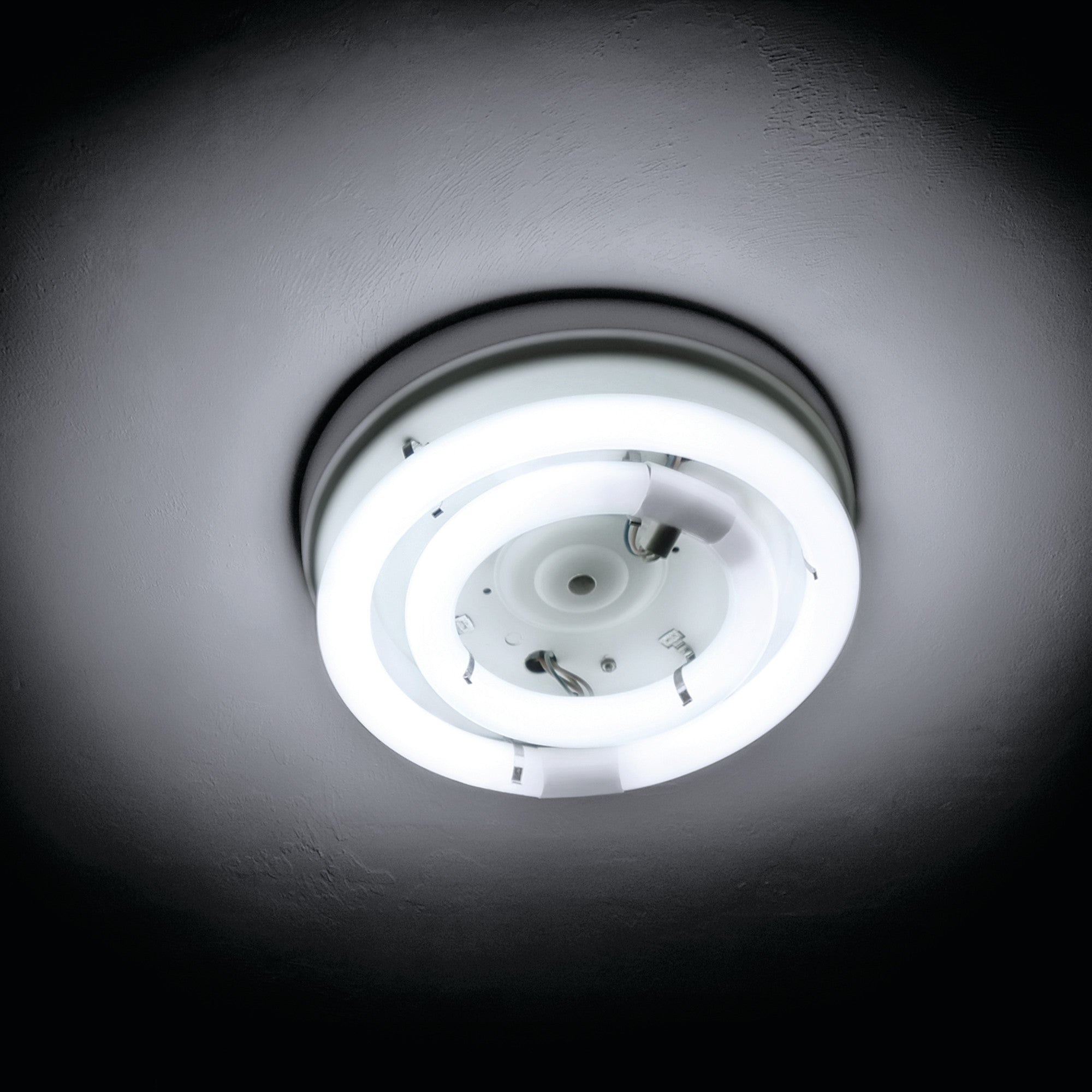 16 in. 40W Cool White (4100K) 4-Pin (T9 Replacement) Fluorescent