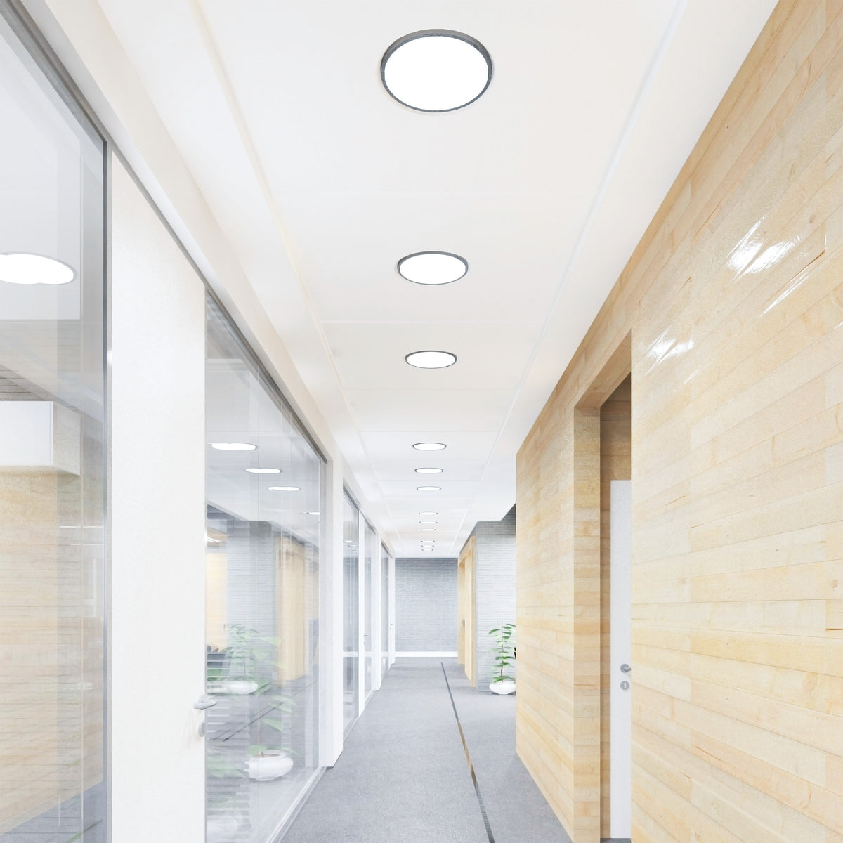 16 in. 40W Cool White (4100K) 4-Pin (T9 Replacement) Fluorescent Circular Light Tube