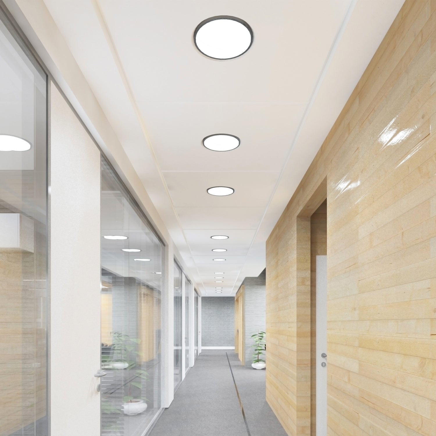 16 in. 25W Adjustable White (T9 Replacement) Direct Replacement (Type A) Non-Dimmable Circular LED Light