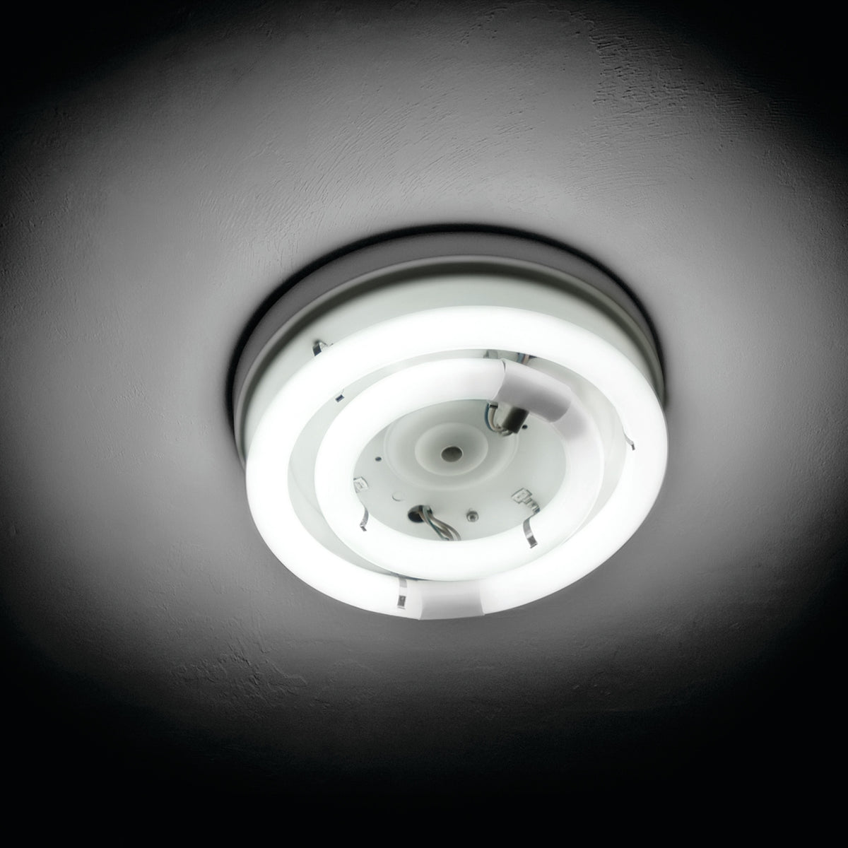 16 in. 25W Adjustable White (T9 Replacement) Direct Replacement (Type A) Non-Dimmable Circular LED Light