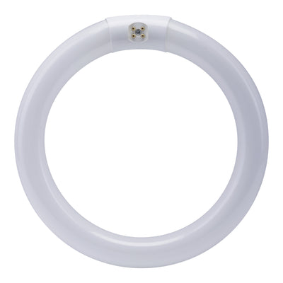 9 in. 30W Cool White (4100K) 4-Pin (T9 Replacement) Fluorescent Circular Light Tube