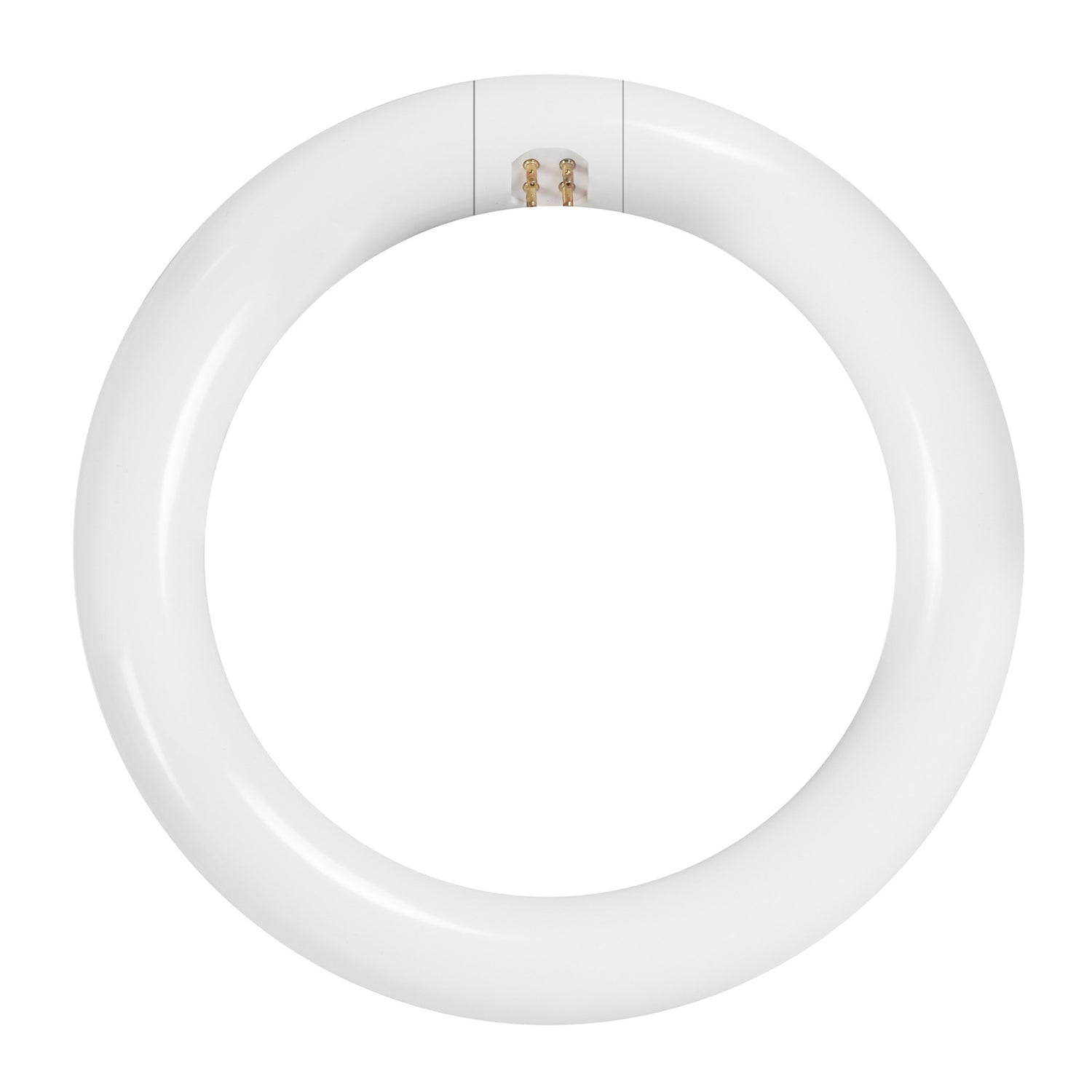 8 in. 15W (22W Replacement) Daylight Deluxe (6500K) White G10Q (T9 Replacement) Non-Dimmable Circular LED Light Tube