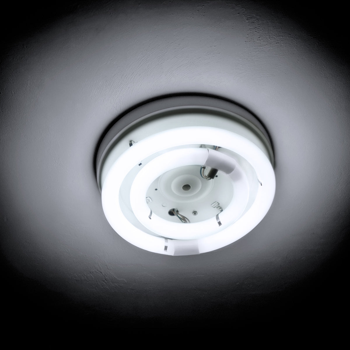 8 in. 22W Cool White (4100K) 4-Pin (T9 Replacement) Fluorescent Circular Light Tube