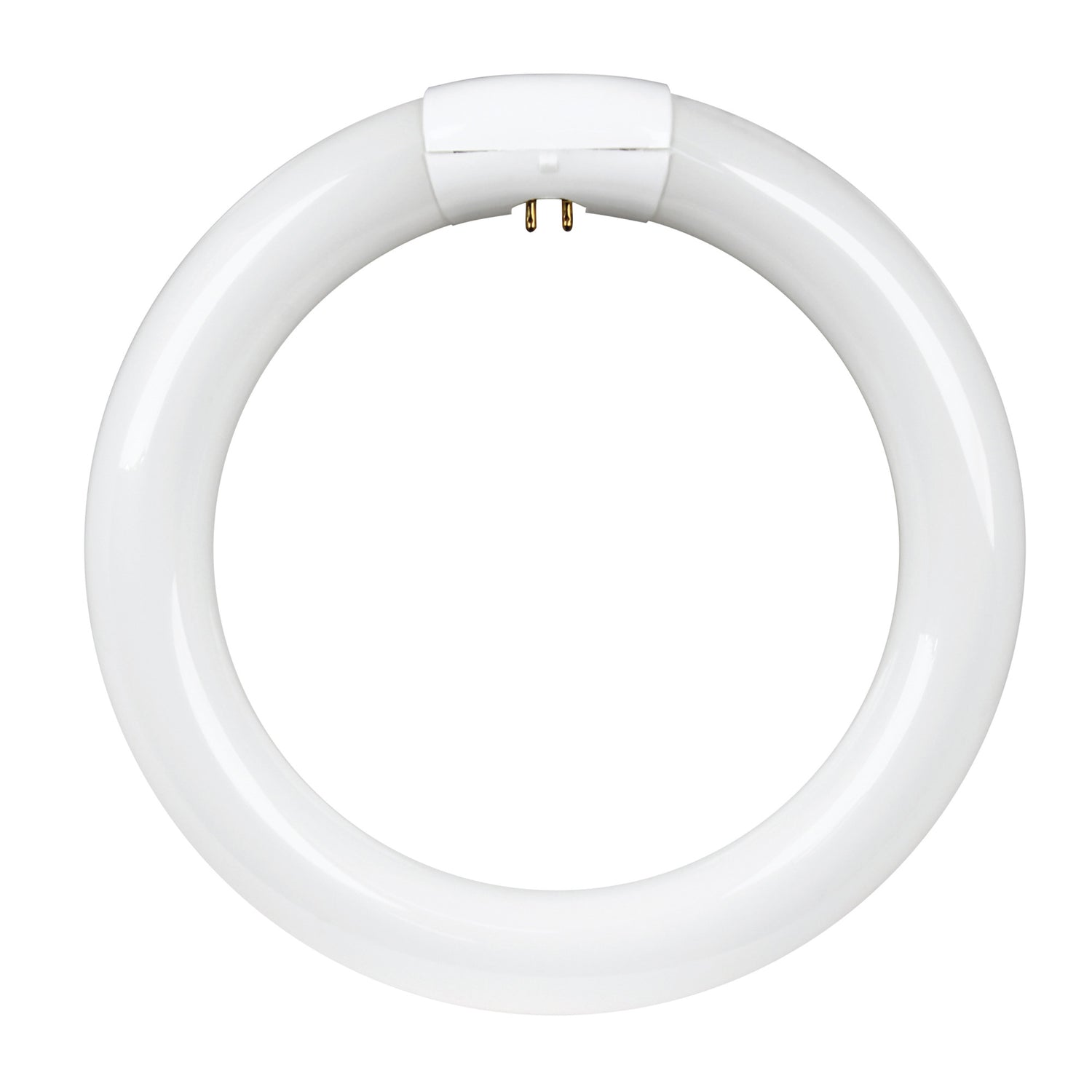 22W Daylight Deluxe (6500K) Circular T9 Non-Dimmable CFL Light Bulb
