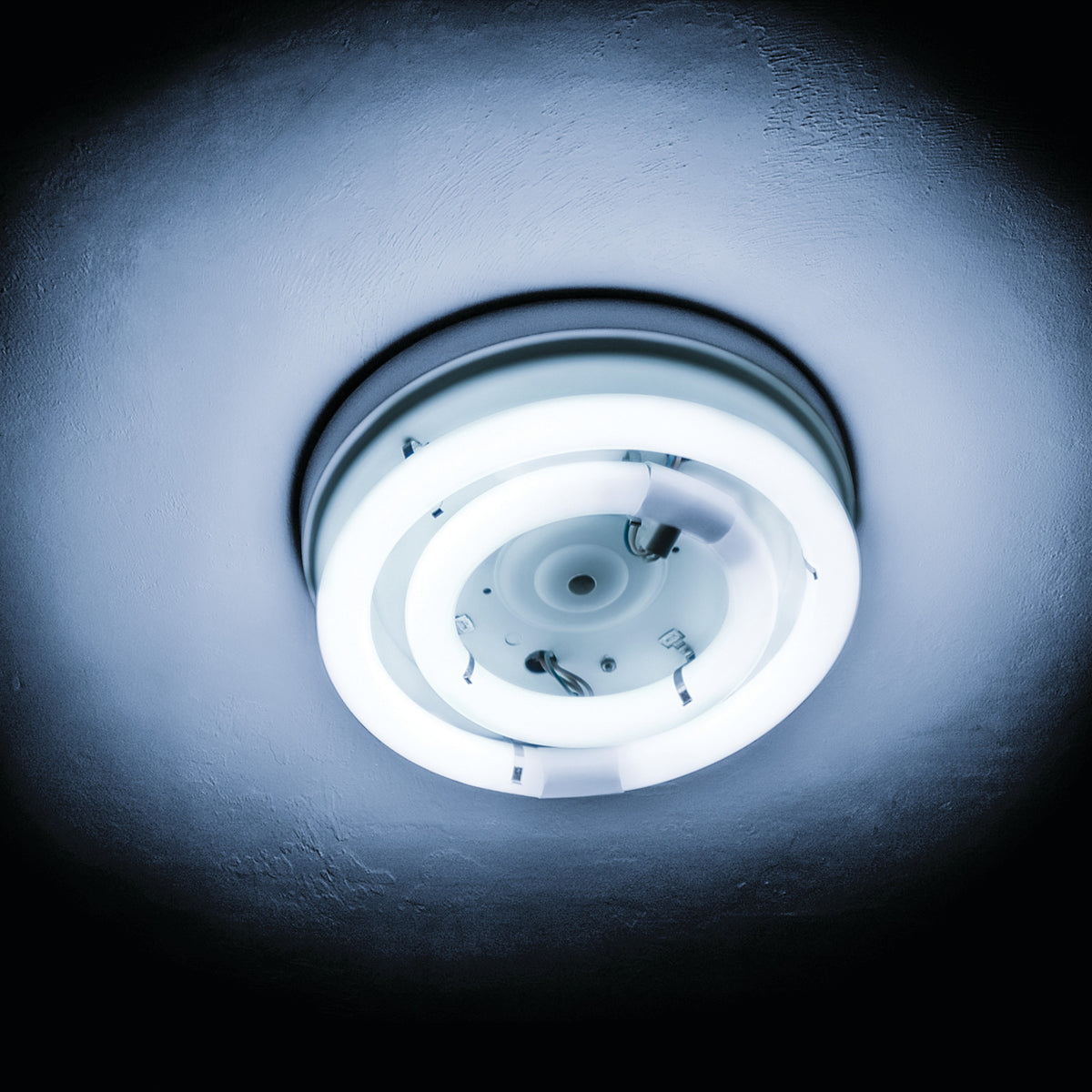 22W Daylight Deluxe (6500K) Circular T9 Non-Dimmable CFL Light Bulb