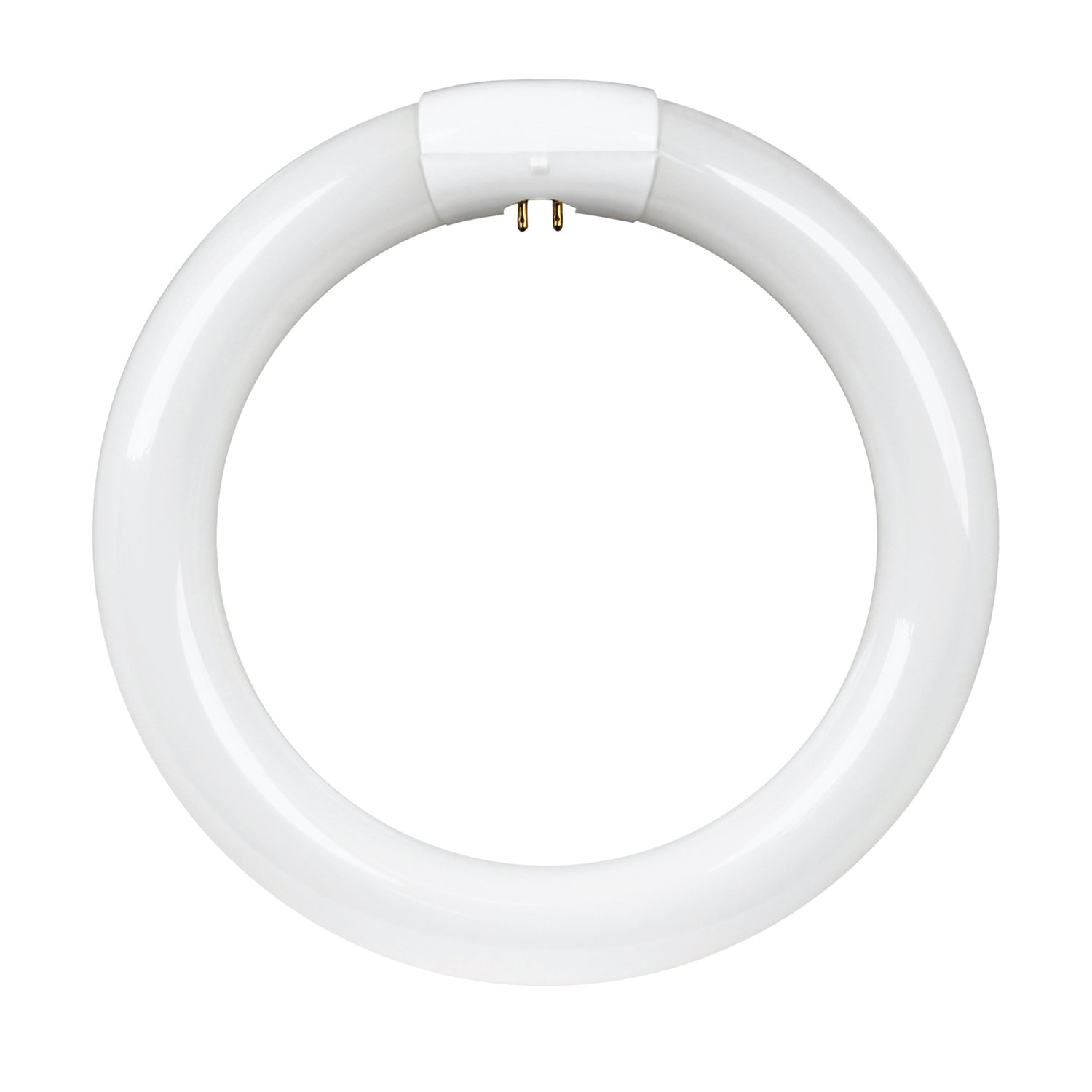 8 in. 22W Bright White (3000K) 4-Pin T9 Fluorescent Circular CFL Bulb