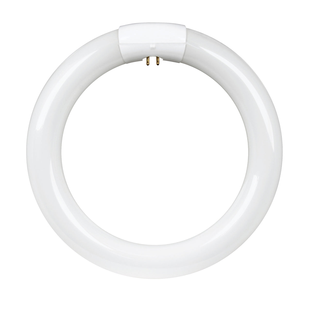 8 in. 22W Bright White (3000K) 4-Pin T9 Fluorescent Circular CFL Bulb