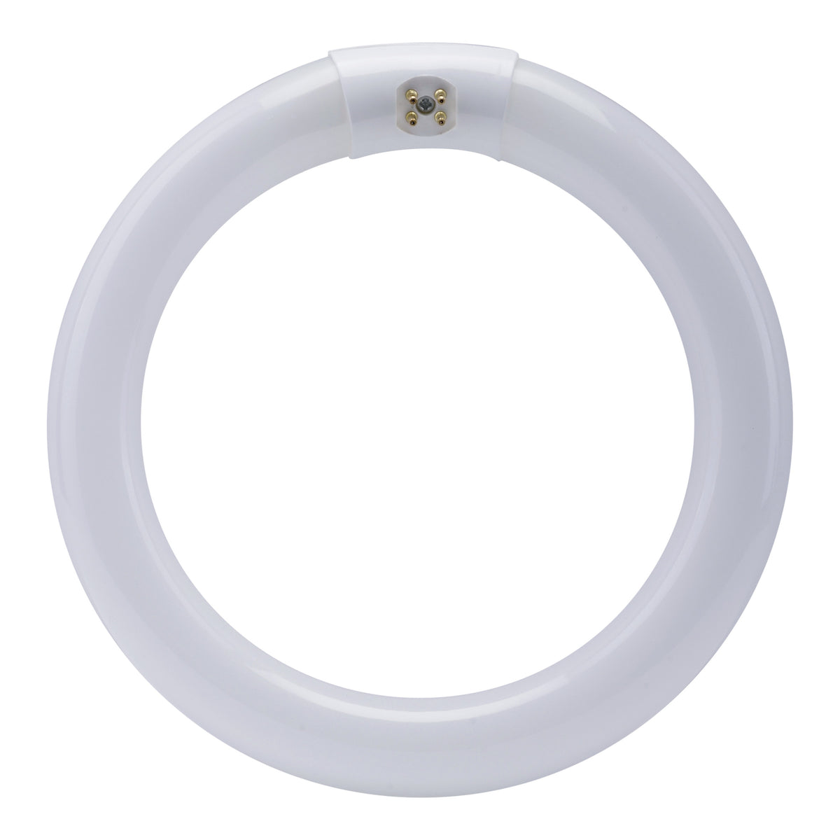 8 in. 22W Bright White (3000K) 4-Pin T9 Fluorescent Circular CFL Bulb