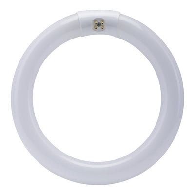 8 in. 22W Bright White (3000K) 4-Pin T9 Fluorescent Circular CFL Bulb