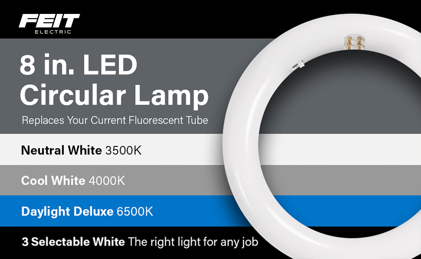 8 in. 15W (22W Replacement) Selectable White (T9 Replacement) Direct ...