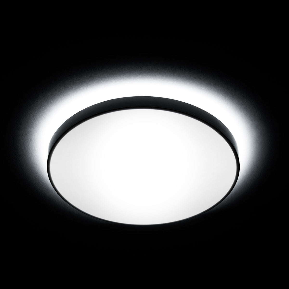 9 in. 16W (30W Replacement) Adjustable White G10Q (T9 Replacement) Direct Replacement (Type A) Non-Dimmable Circular LED Light