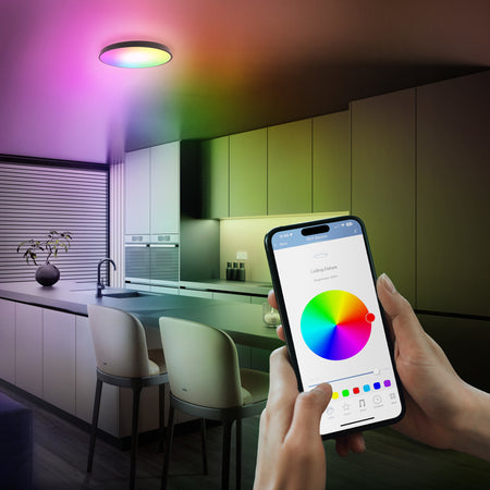 Smart Ceiling Lights