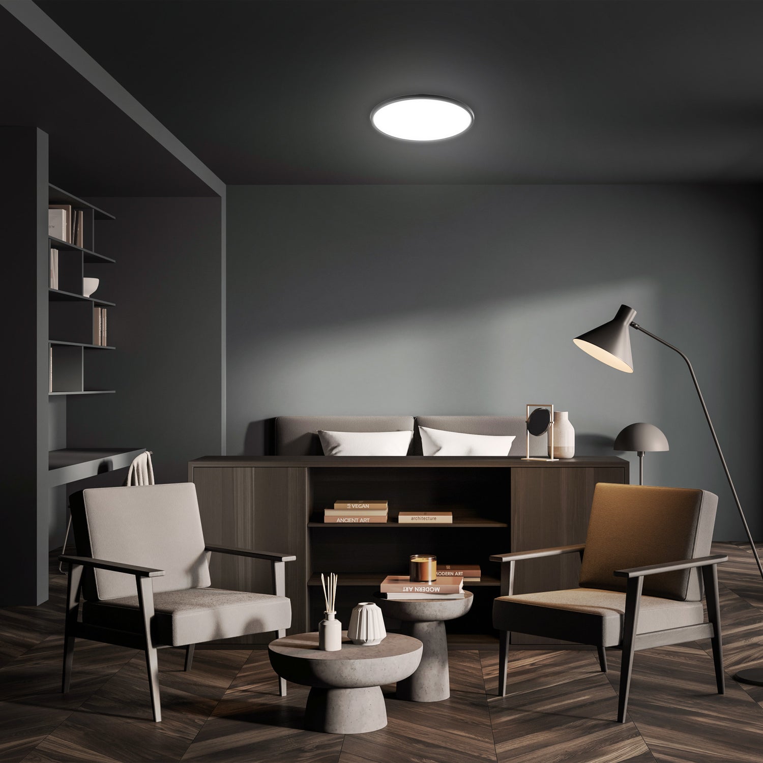 25 in. Round 36W Selectable White Flat Panel Light, Matte Black