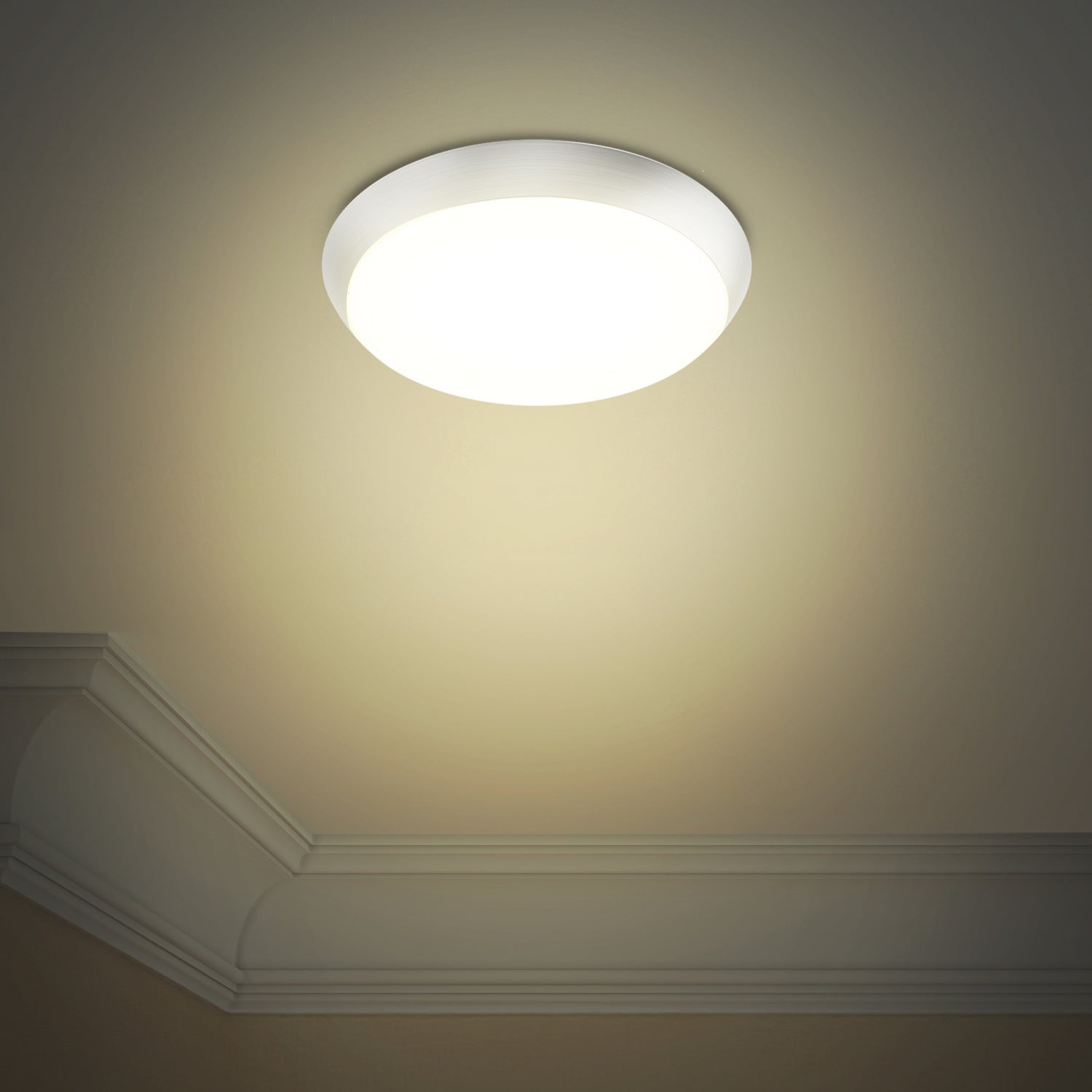 9 in. Dimmable Adjustable White LED Flush Mount Ceiling Fixture, Brushed Nickel