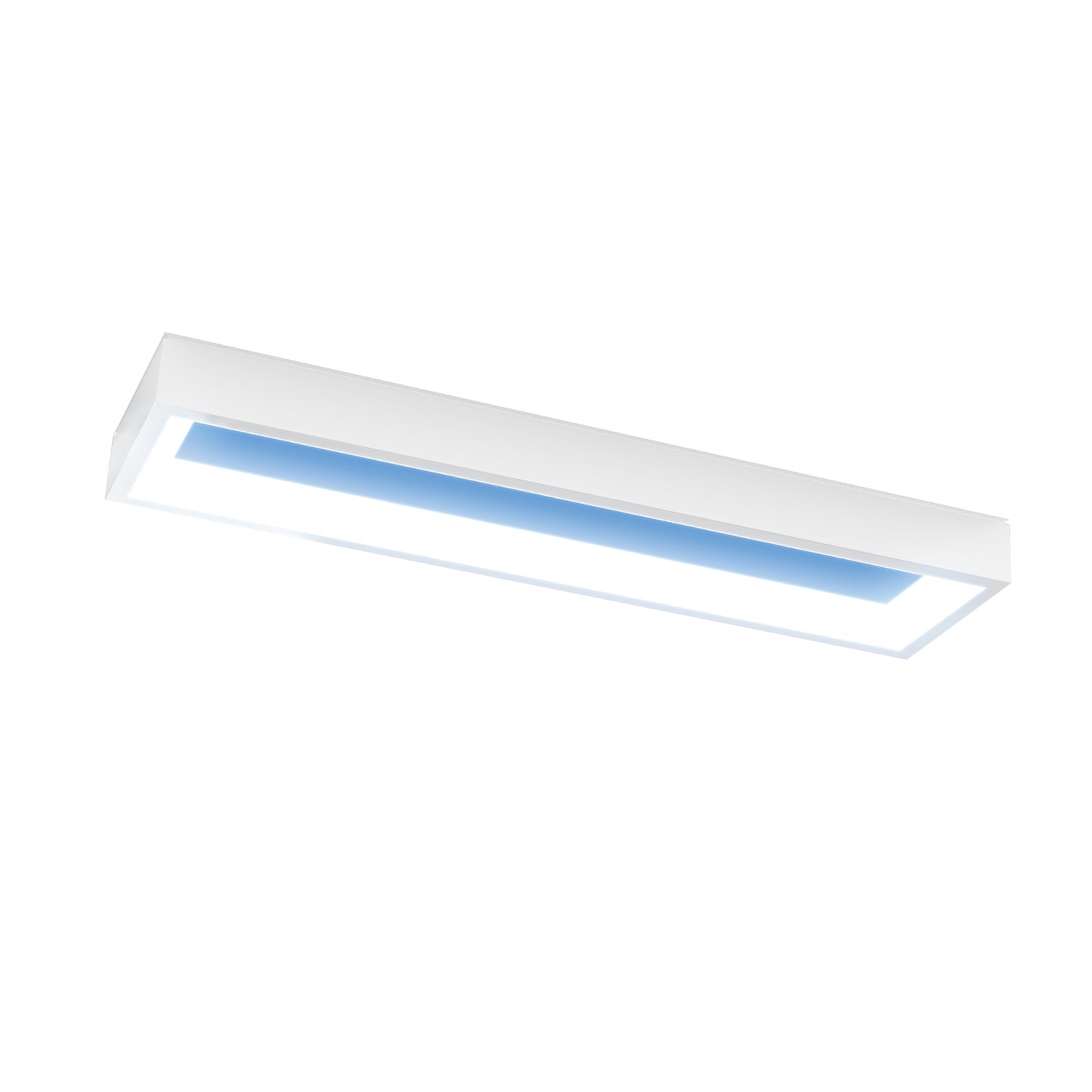 Vista 0.5 ft. x 2 ft. Flat Panel LED Skylight Fixture